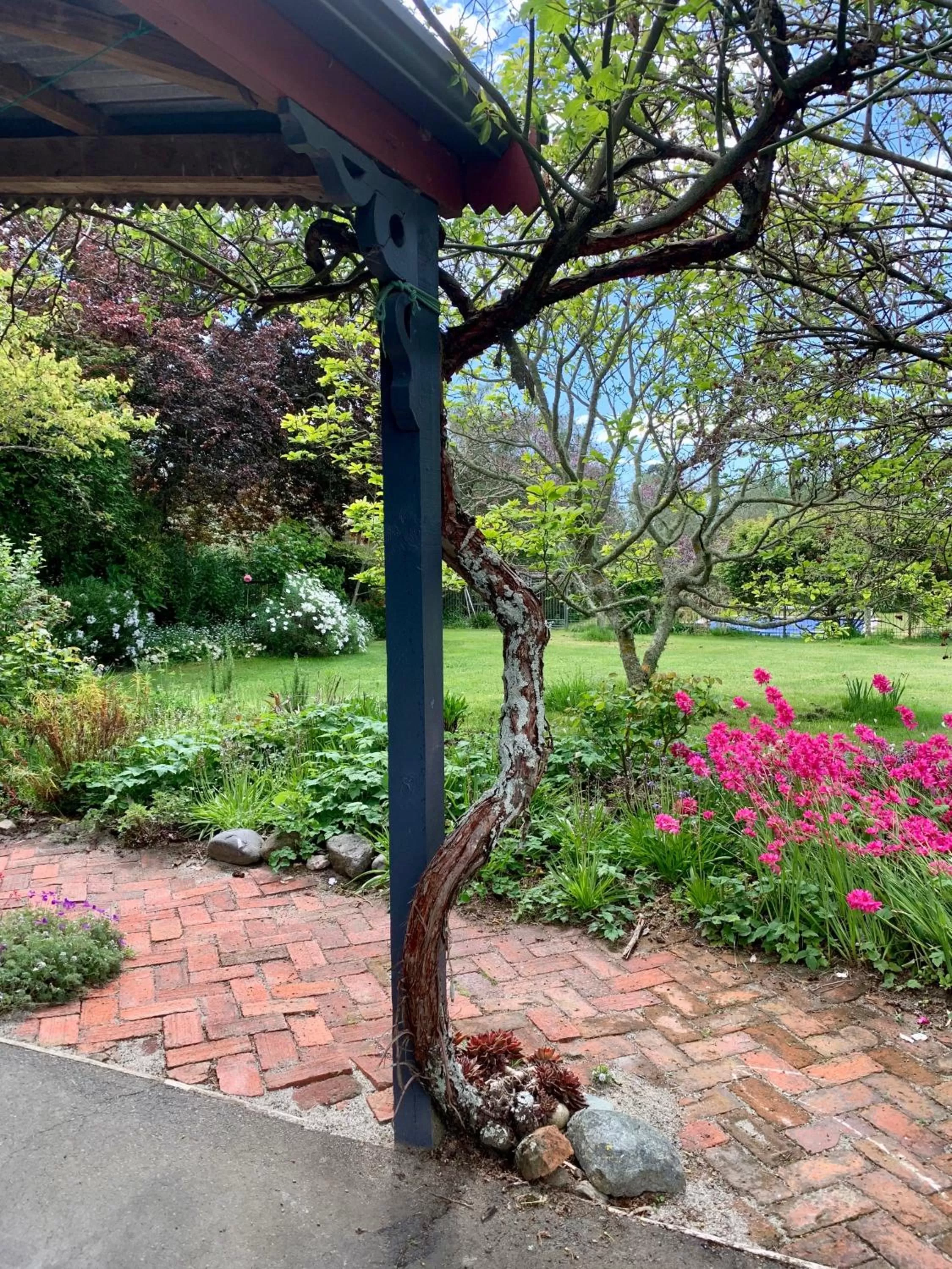 Facade/entrance in Quail Farm, Colonial charm
