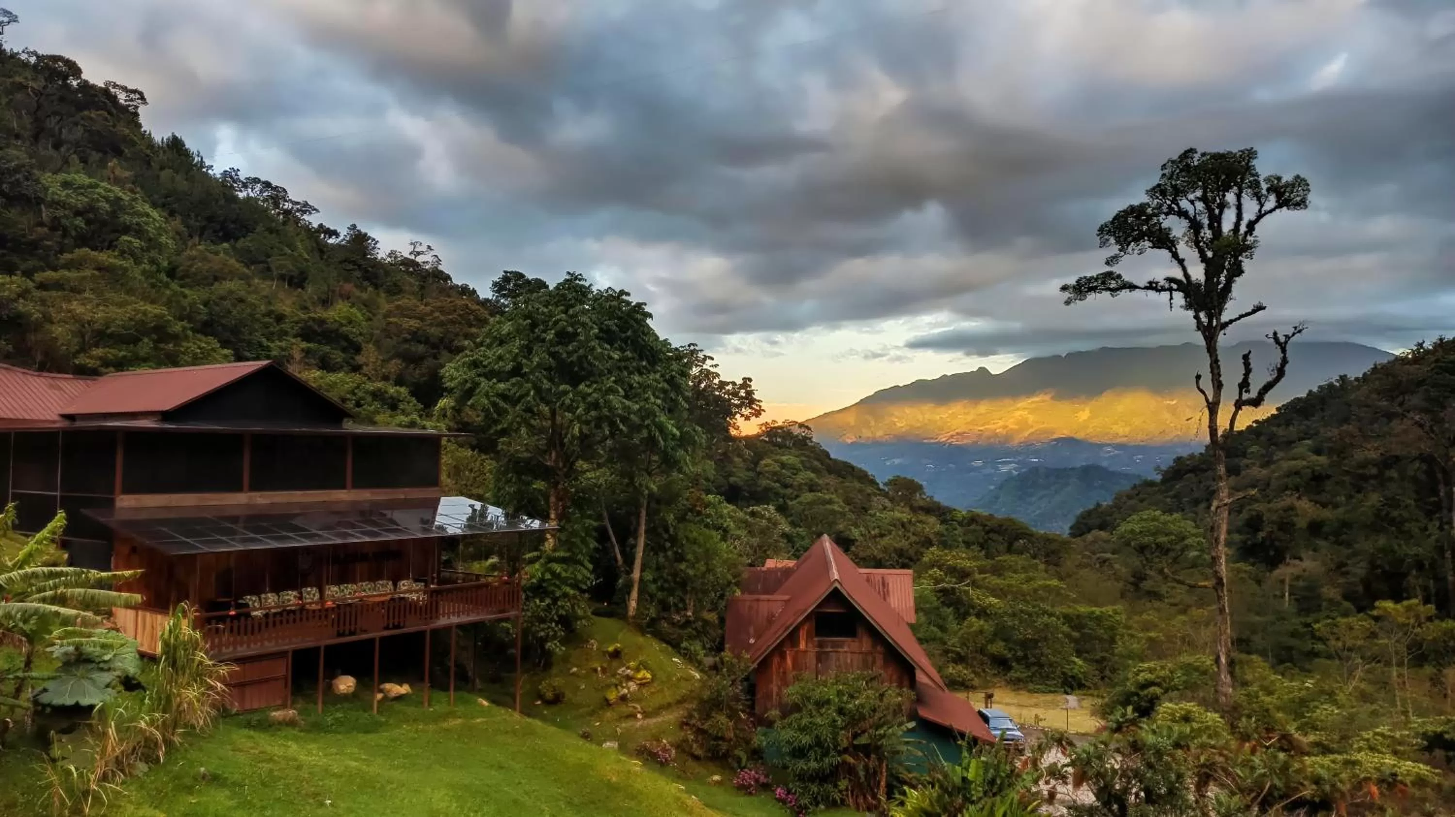 Property building in TREE TREK BOQUETE Adventure Park