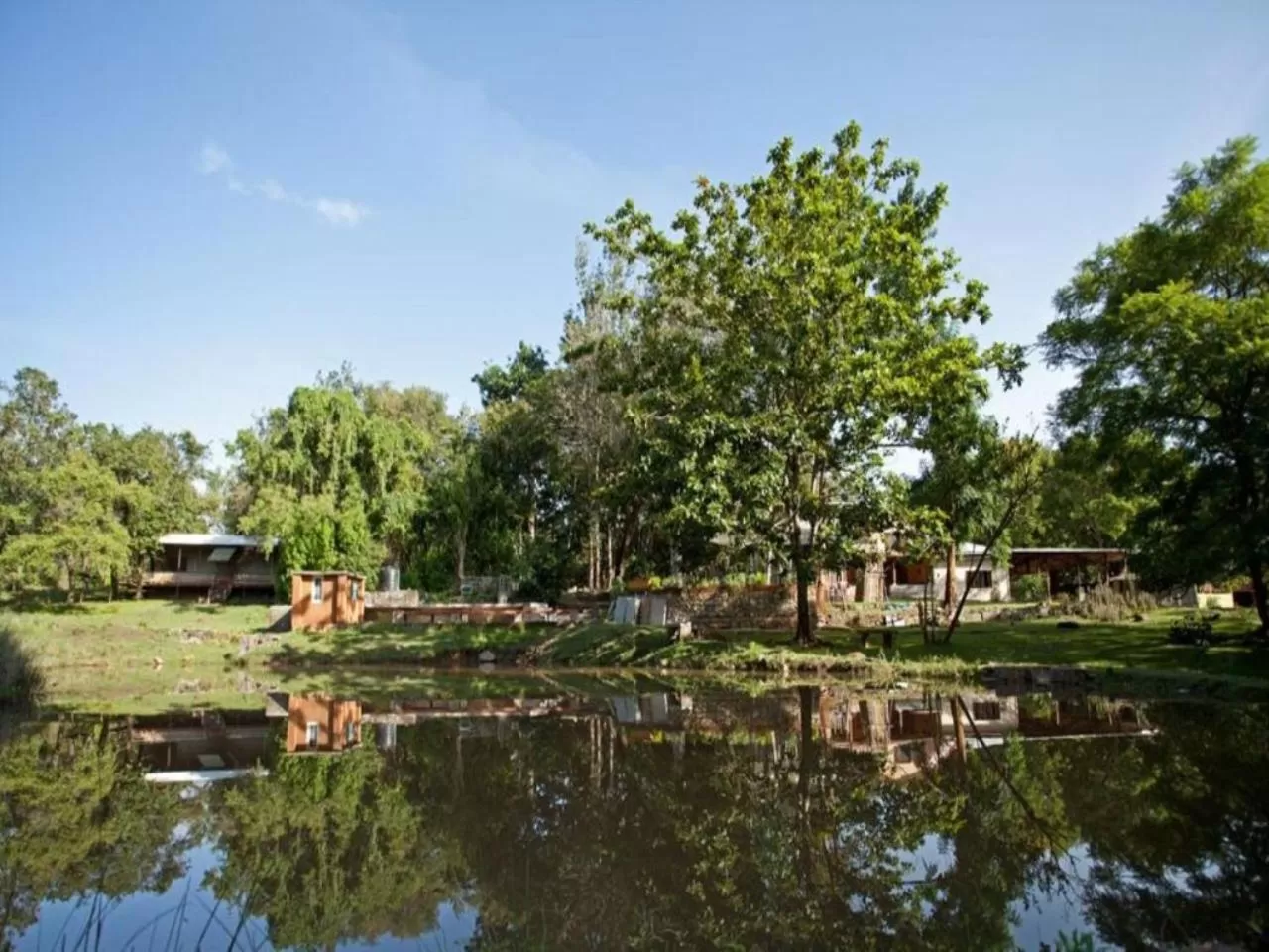 Natural landscape in Jungle Hut Resort