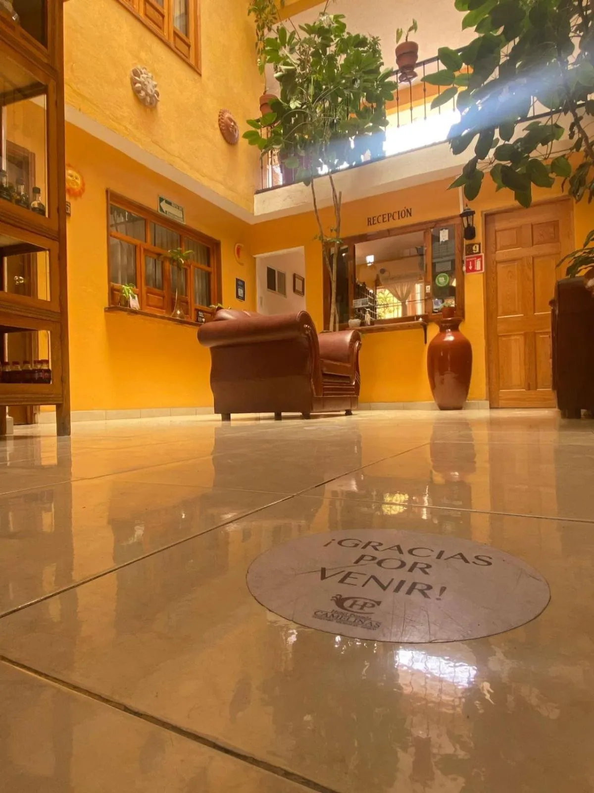 Living room in Hotel Posada Camelinas