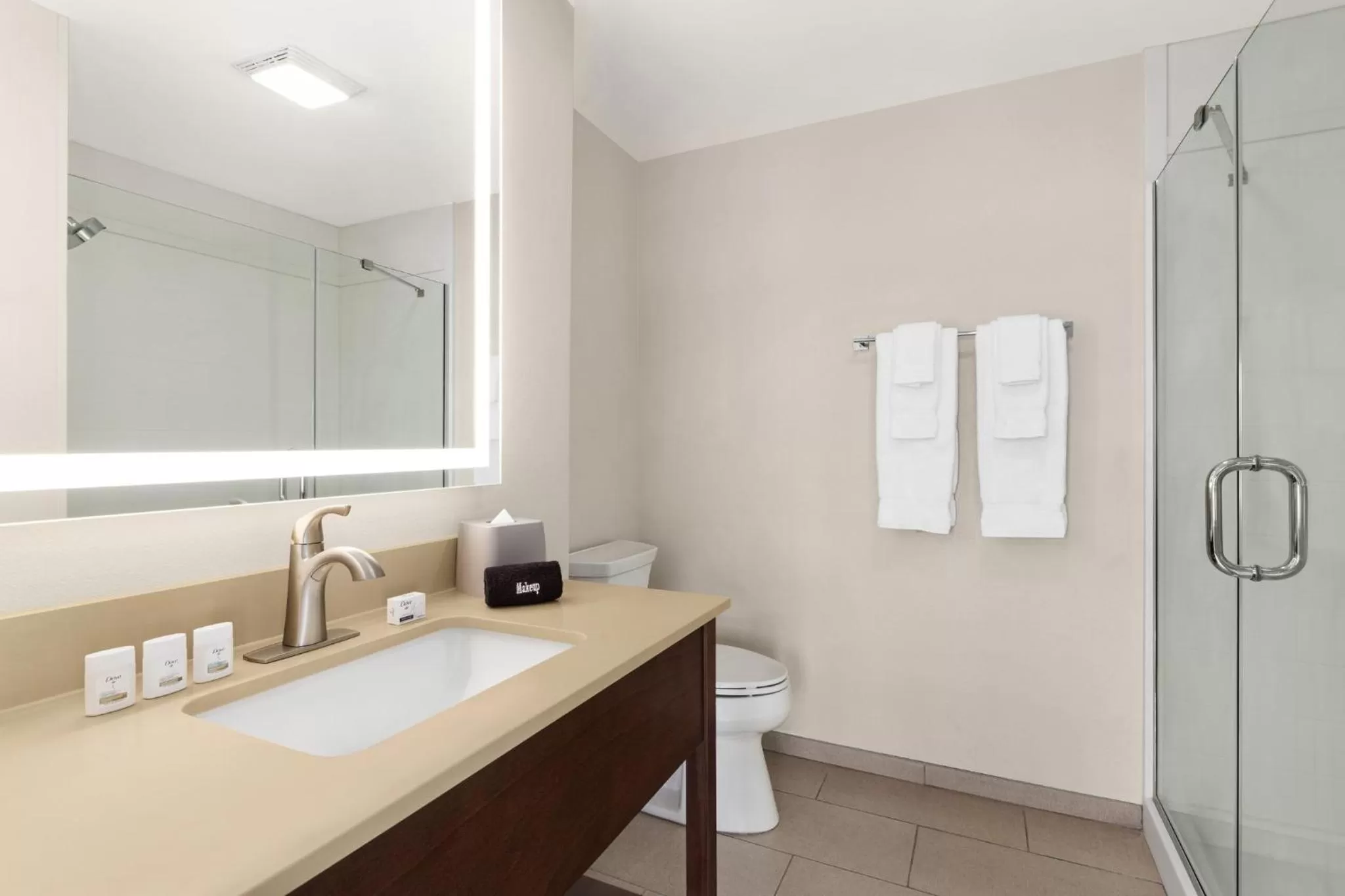 Bathroom in Holiday Inn Express & Suites Evansville Downtown by IHG