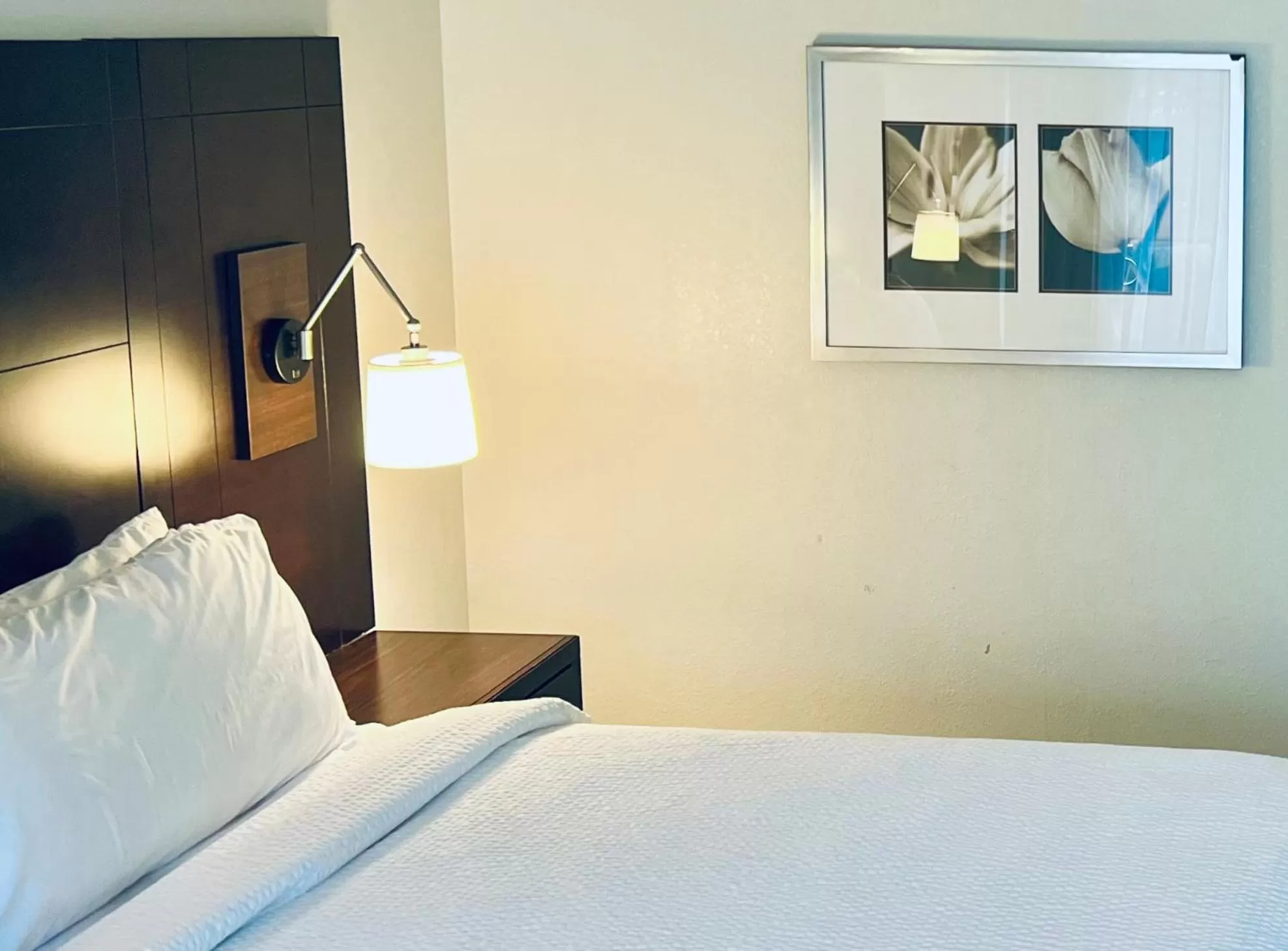 Bed in Holiday Inn Virginia Beach - Norfolk by IHG