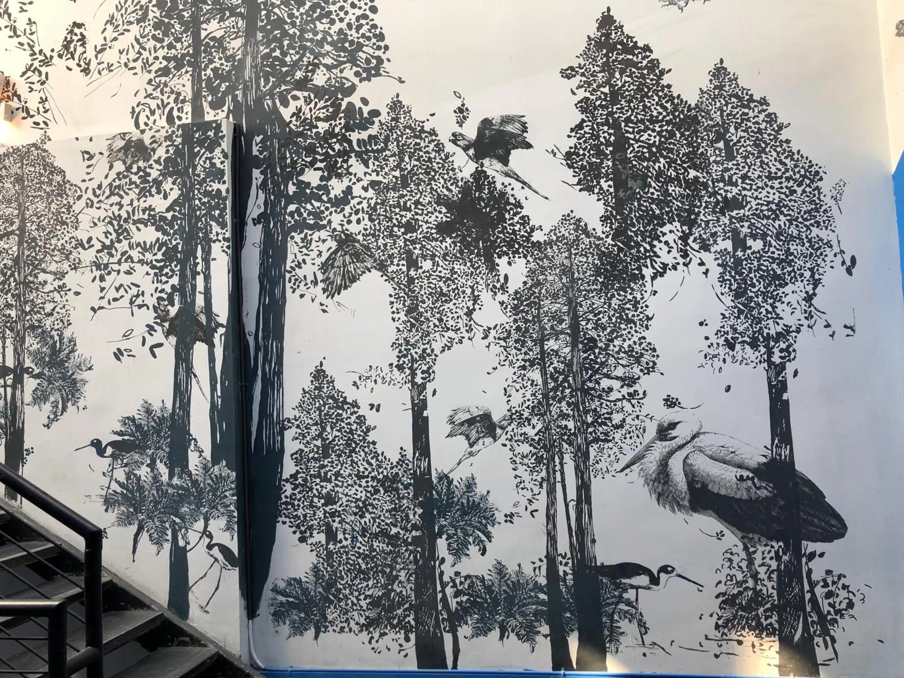 Area and facilities in Hostel Boutique Merced 88