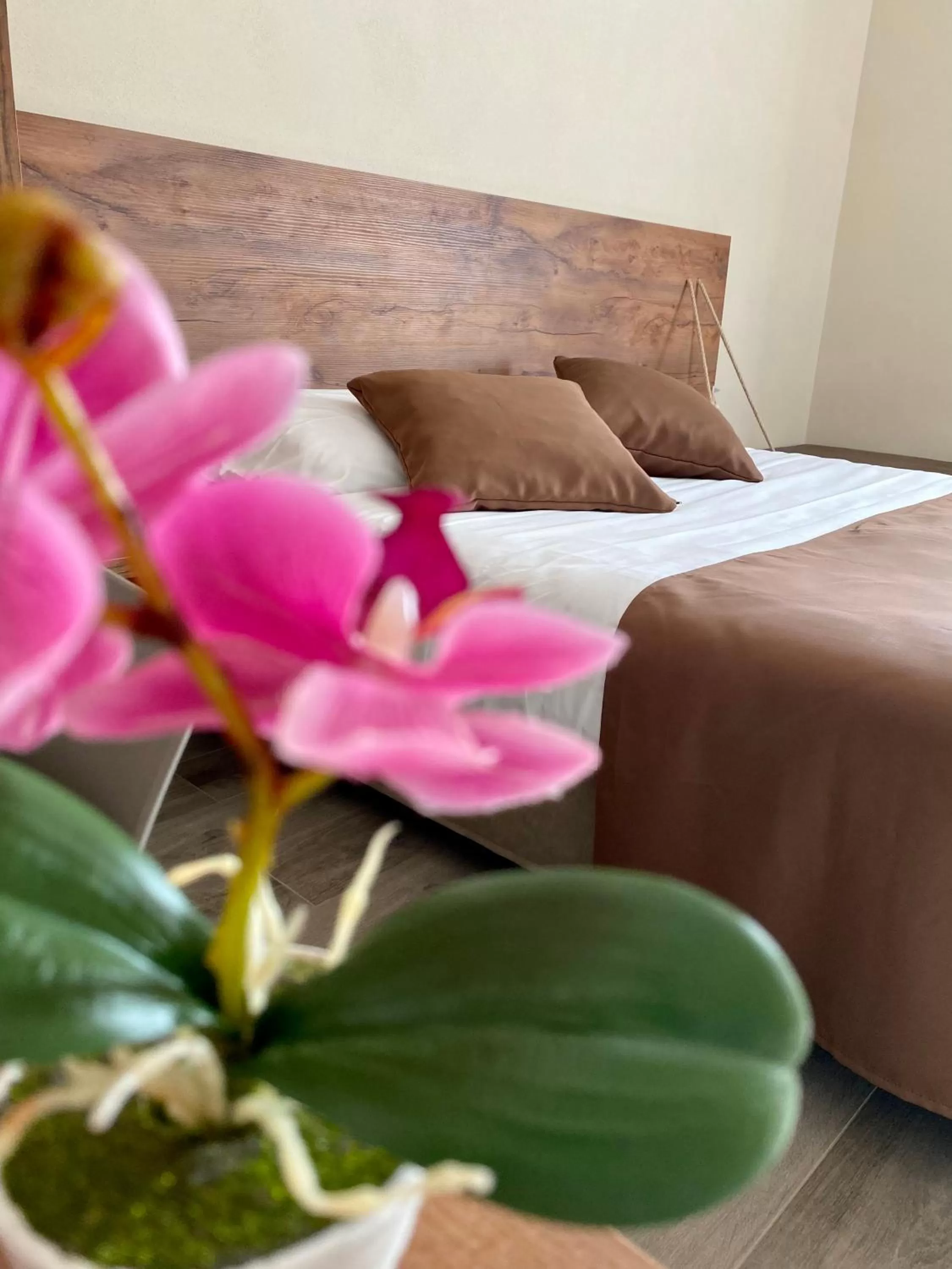 Bed in Arsenale Porto