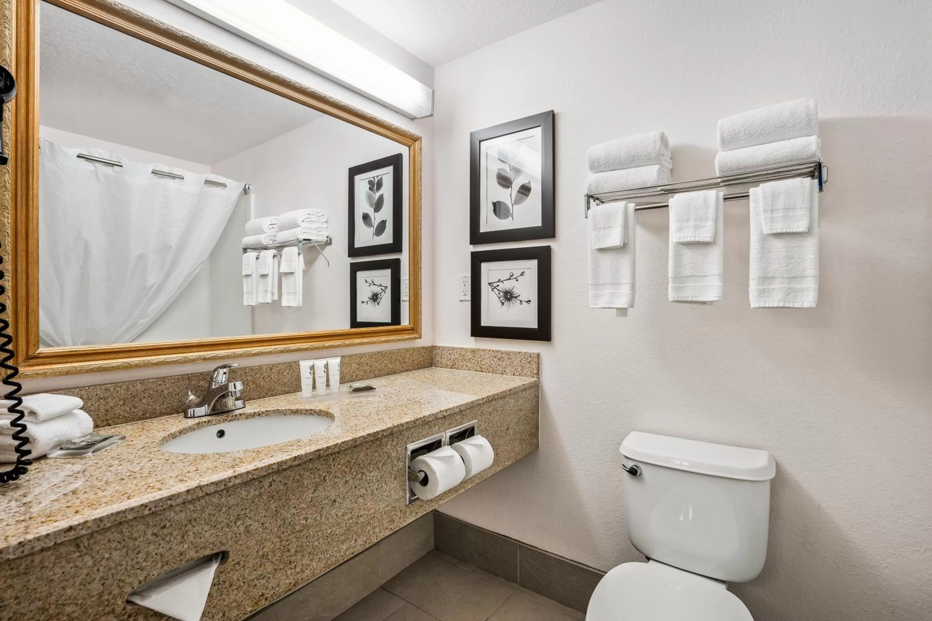 Toilet in Country Inn & Suites by Radisson, Port Canaveral, FL