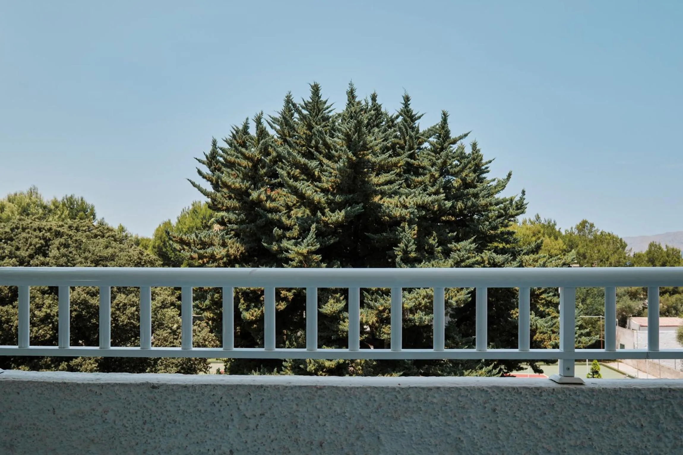 Balcony/Terrace in Prinsotel Mal Pas - Adults Only