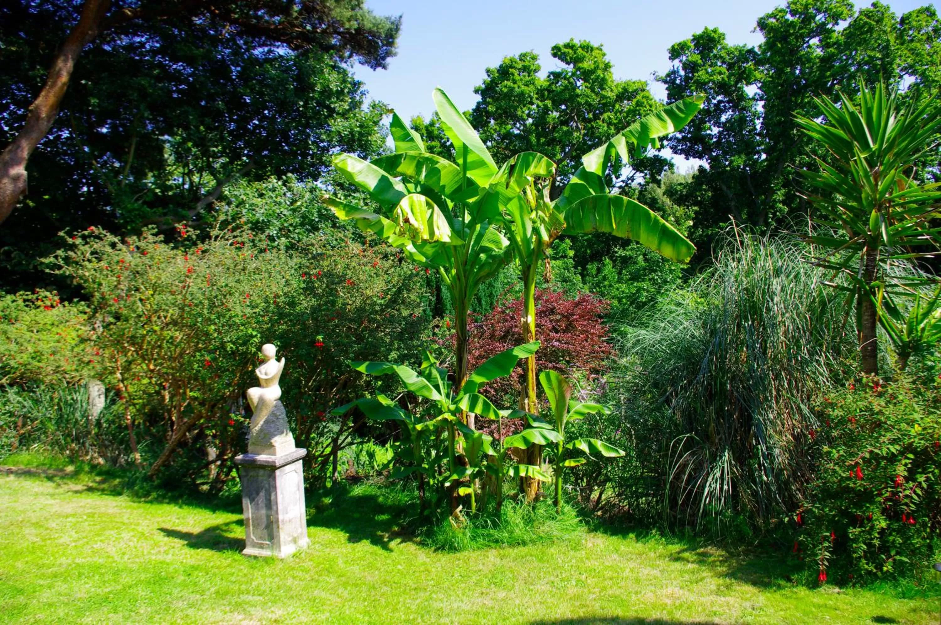 Garden in The Grange B&B