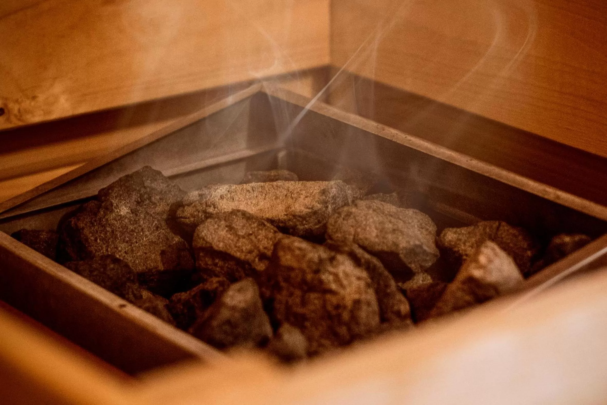 Sauna in Hotel Ehranger Hof