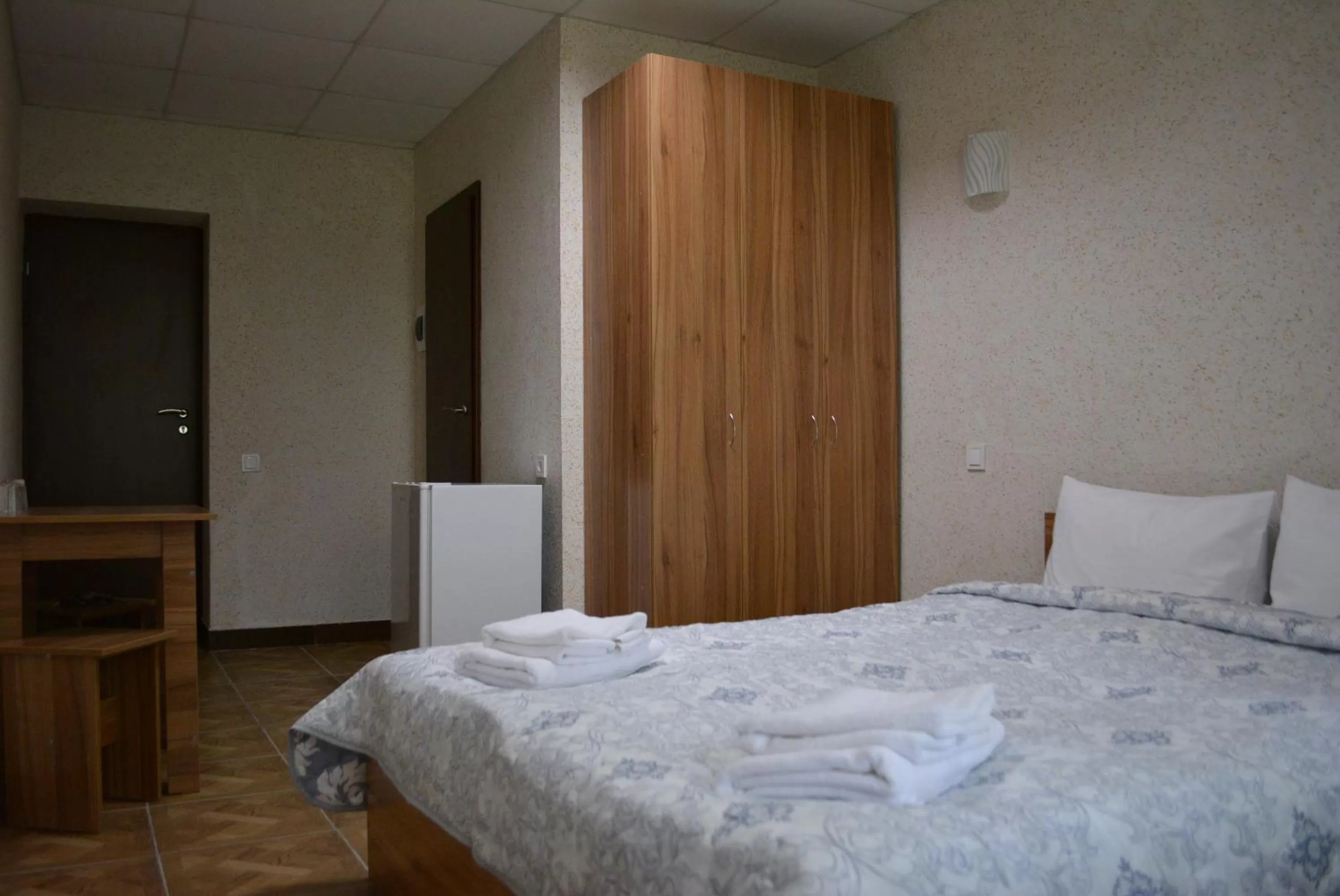 Standard Double Room in Zelenyi Kampus