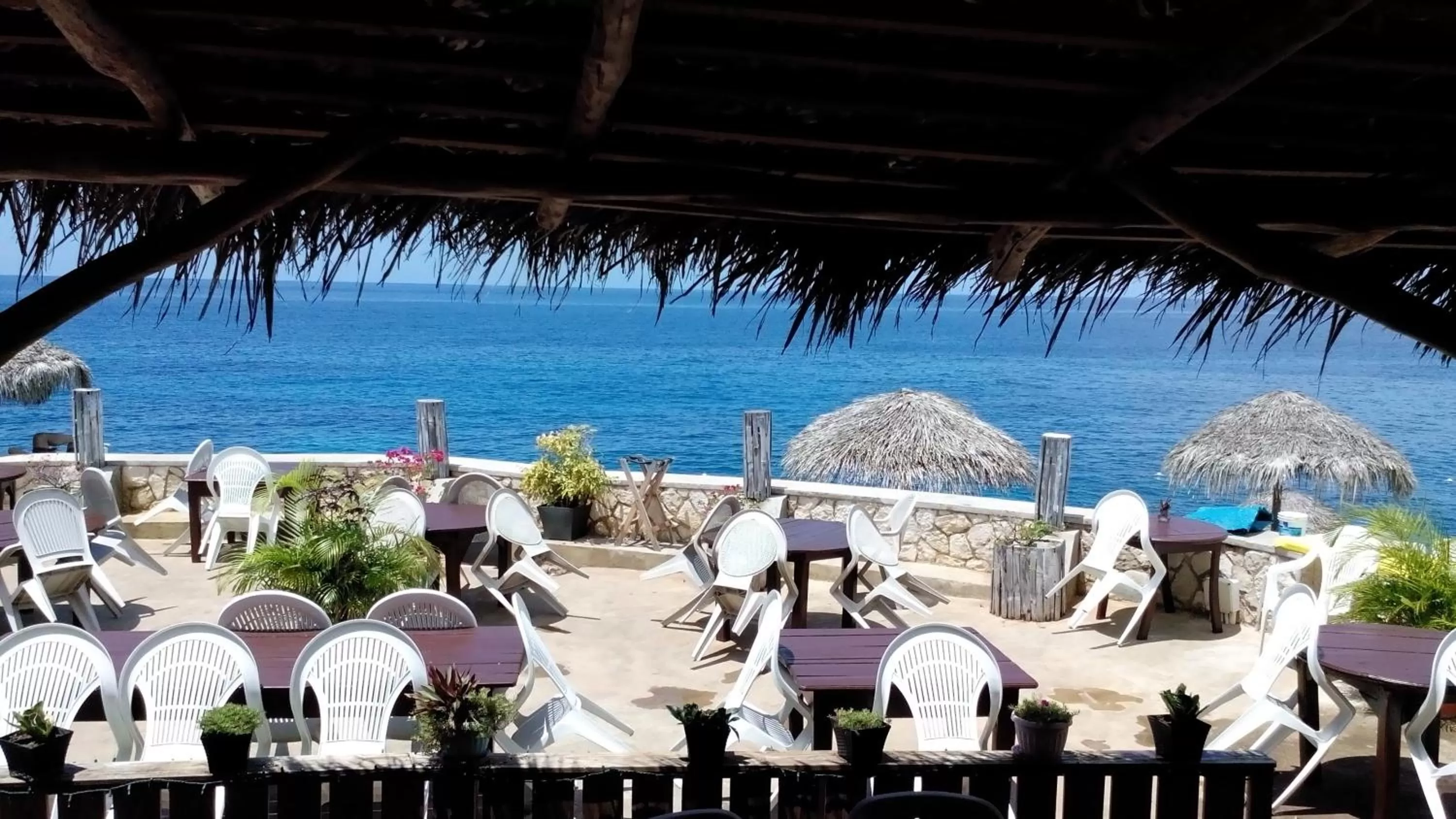 Restaurant/places to eat in Catcha Falling Star