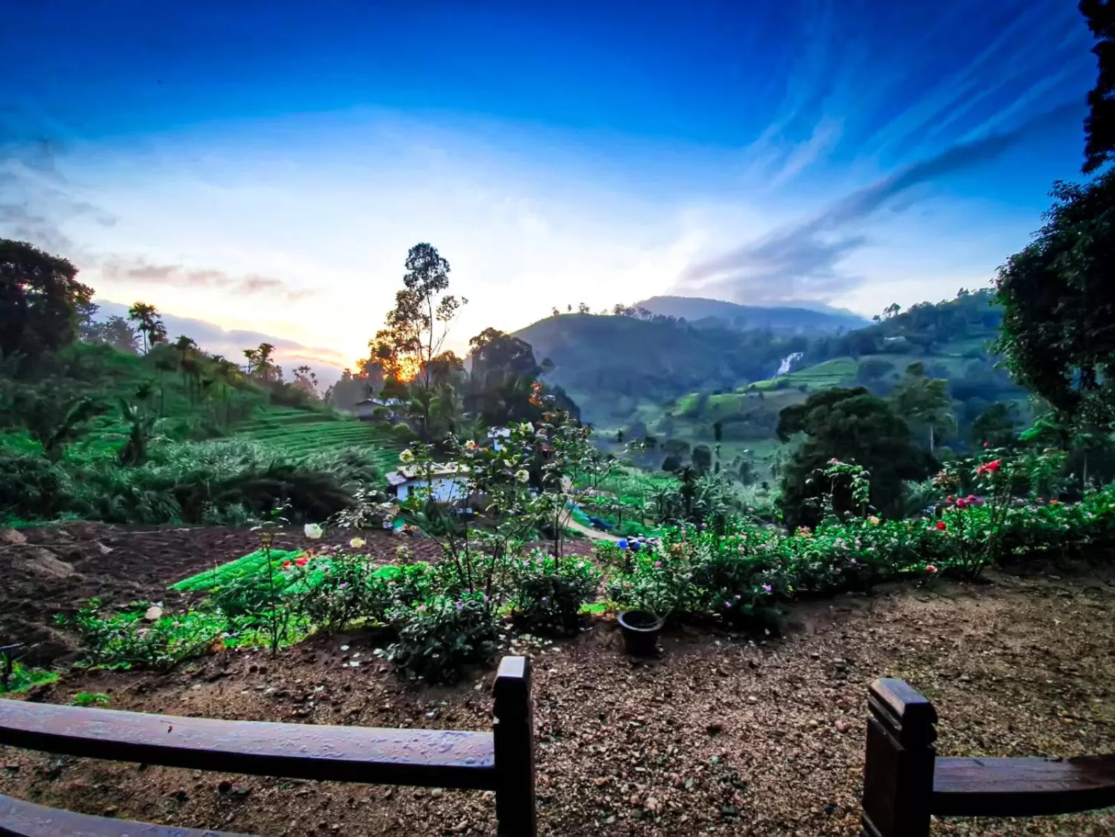 Mountain view in Ella 100 View Cottage