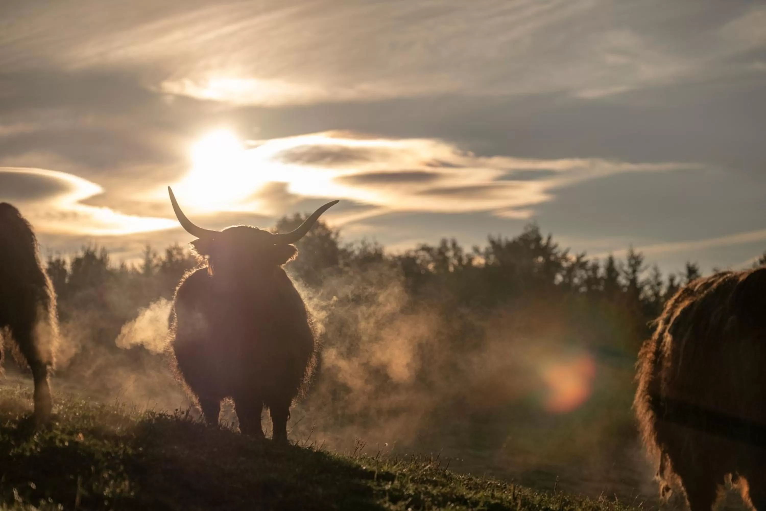 Natural landscape in Hotel Aichingerwirt