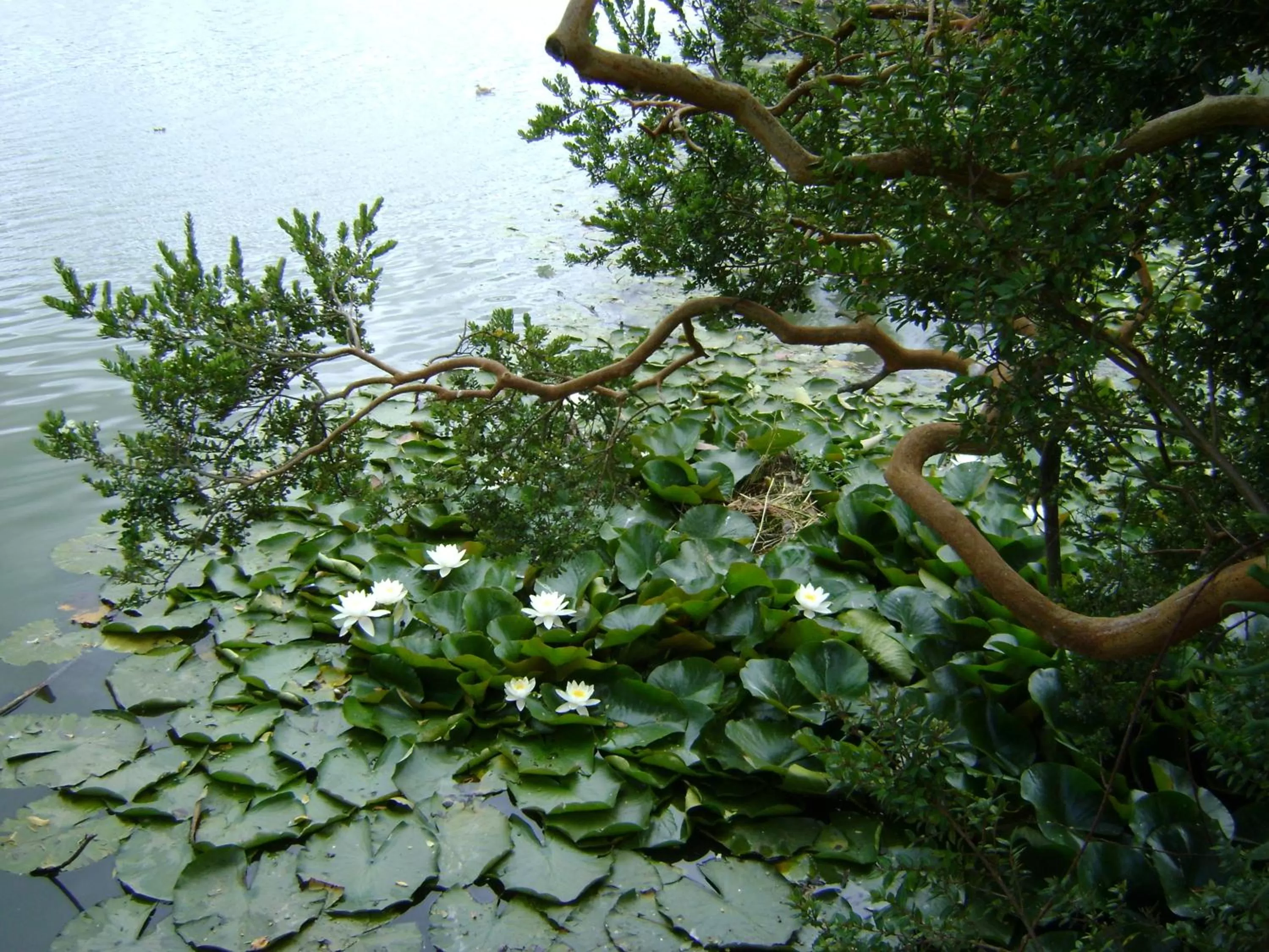Facade/entrance in Hotel Boutique Casa Werner