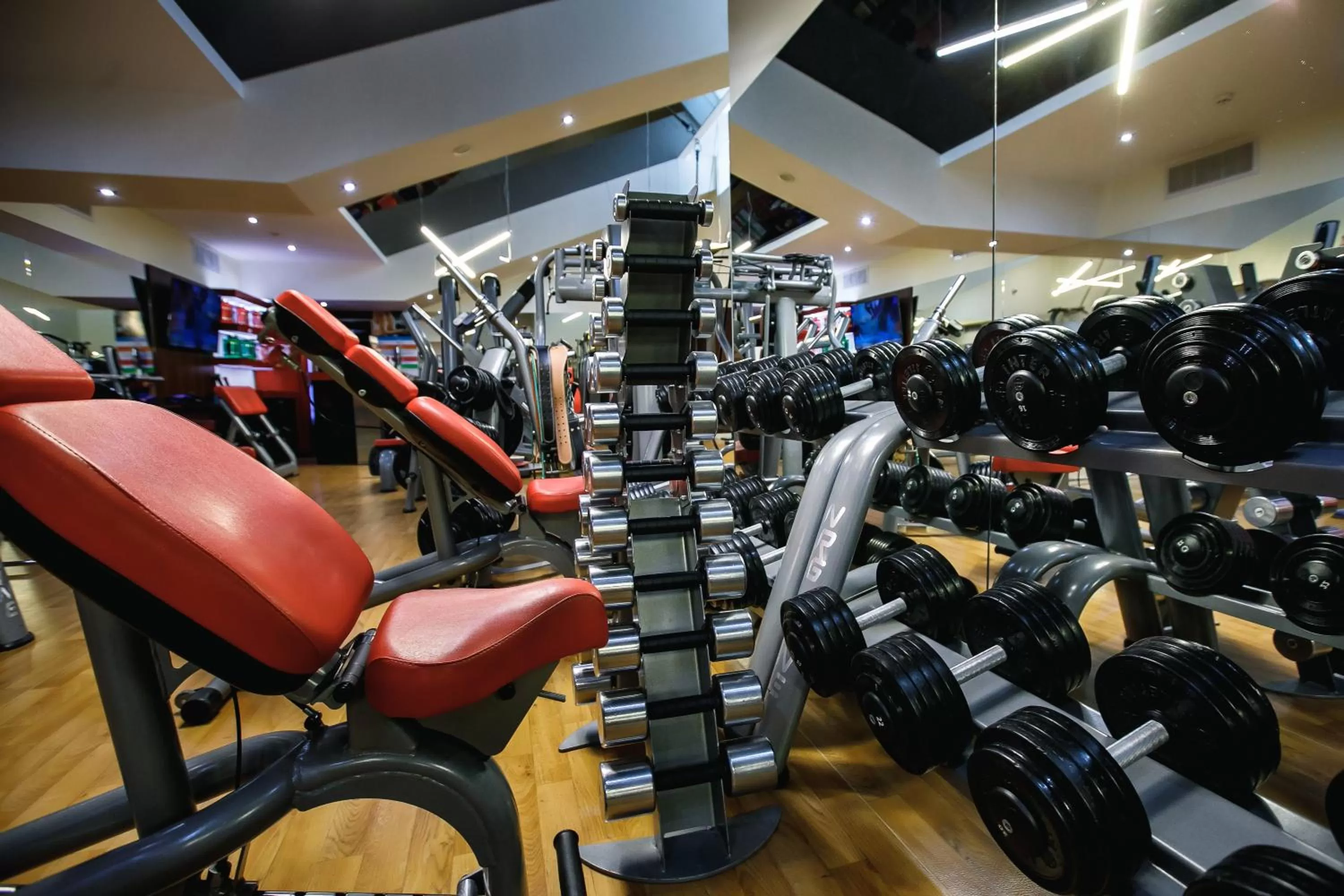 Fitness centre/facilities, Fitness Center/Facilities in Hotel & Spa NEMO with dolphins