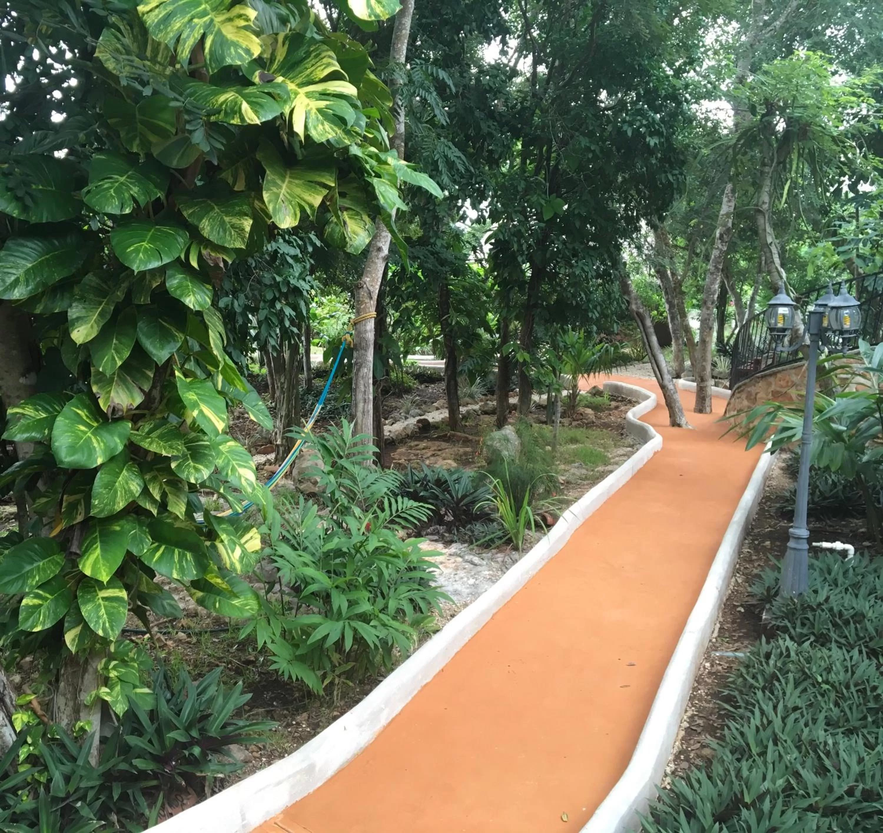 Garden in The Pickled Onion Eco-Boutique B&B