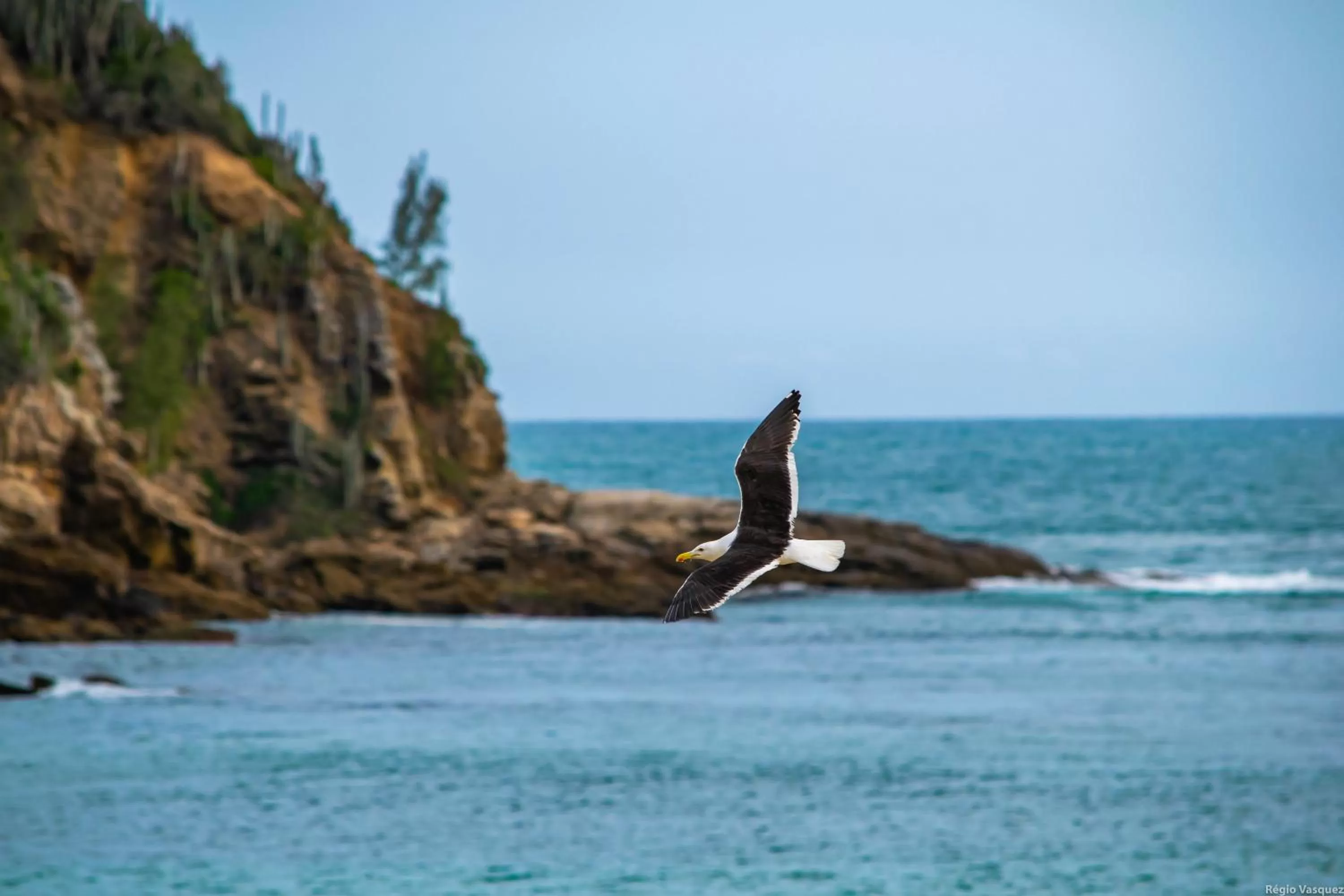 Beach in Chez Pitu Praia Hotel