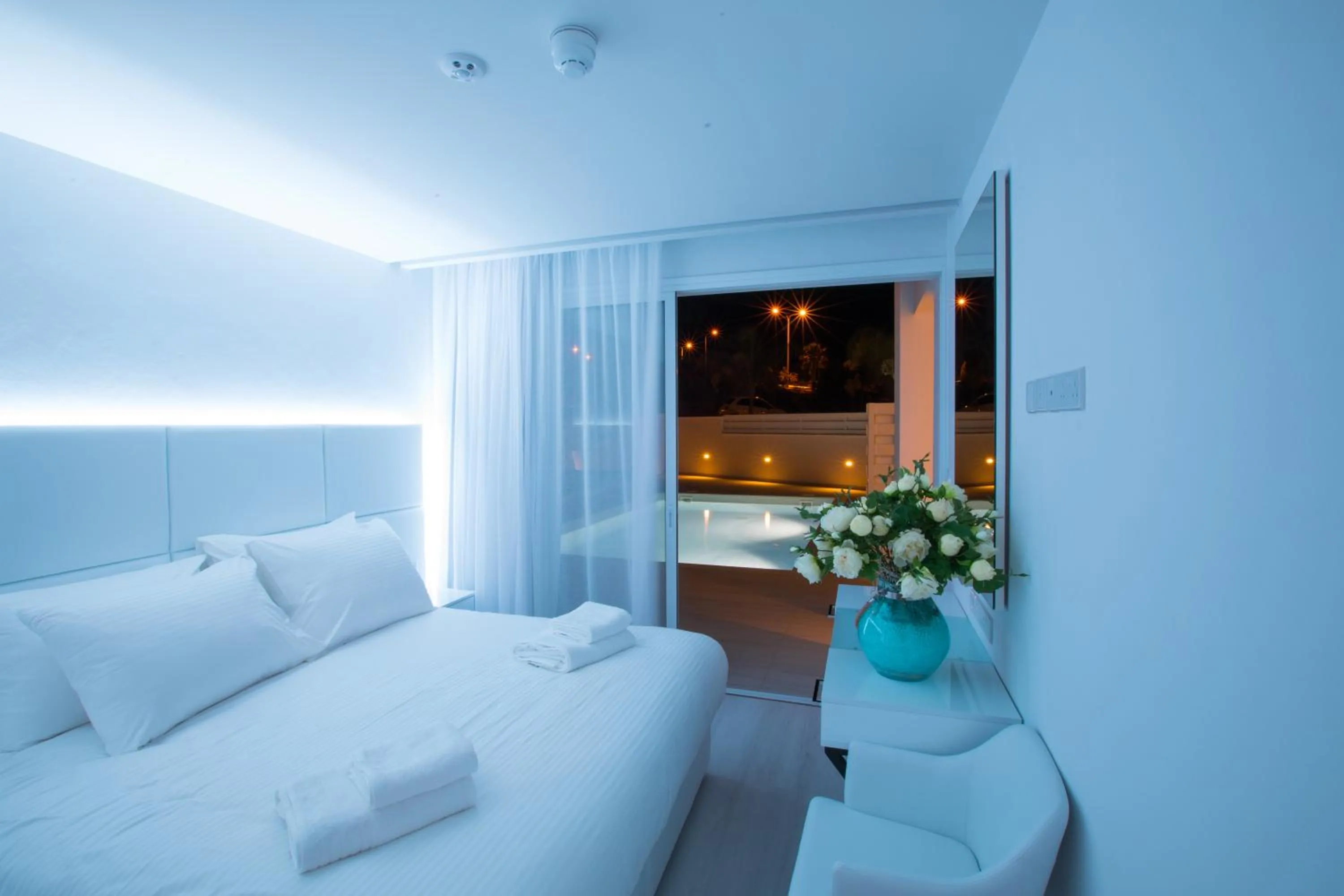 Suite with Private Pool in Hotel Napa Suites (Adults Only)