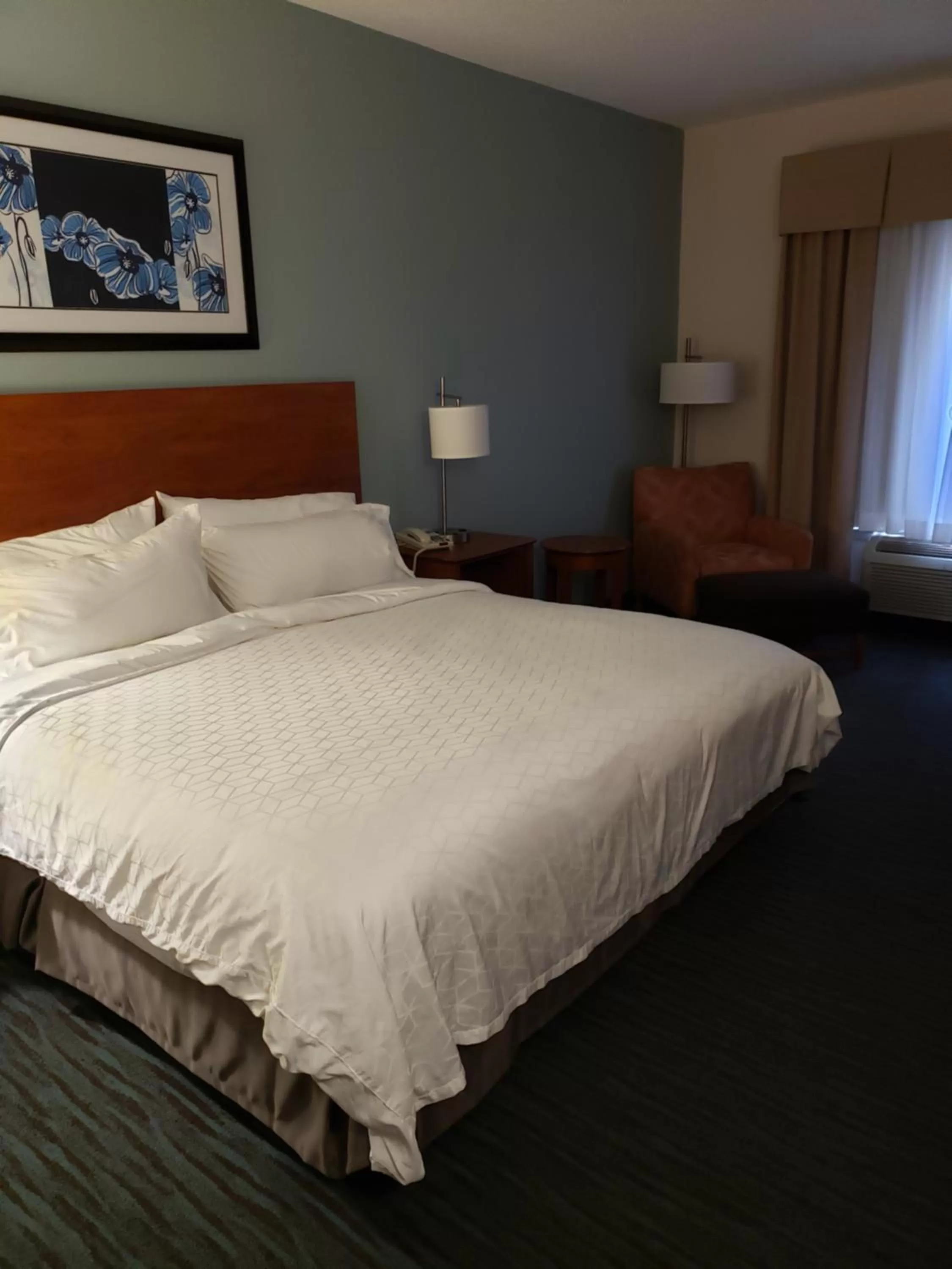 Bed in Holiday Inn Express Richmond-Brandermill-Hull Street by IHG