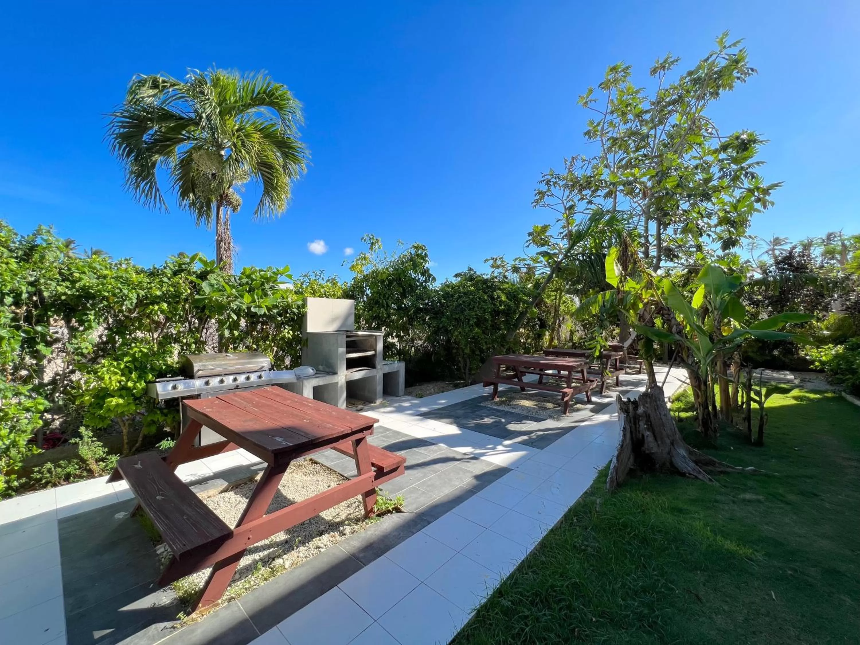 Garden in SOL CARIBE SUITES - PLAYA LOS CORALES - beach club, wifi, swimming pool