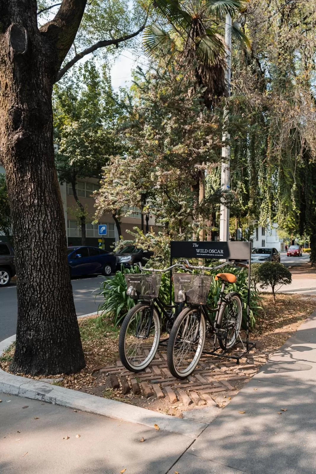 Activities in The Wild Oscar