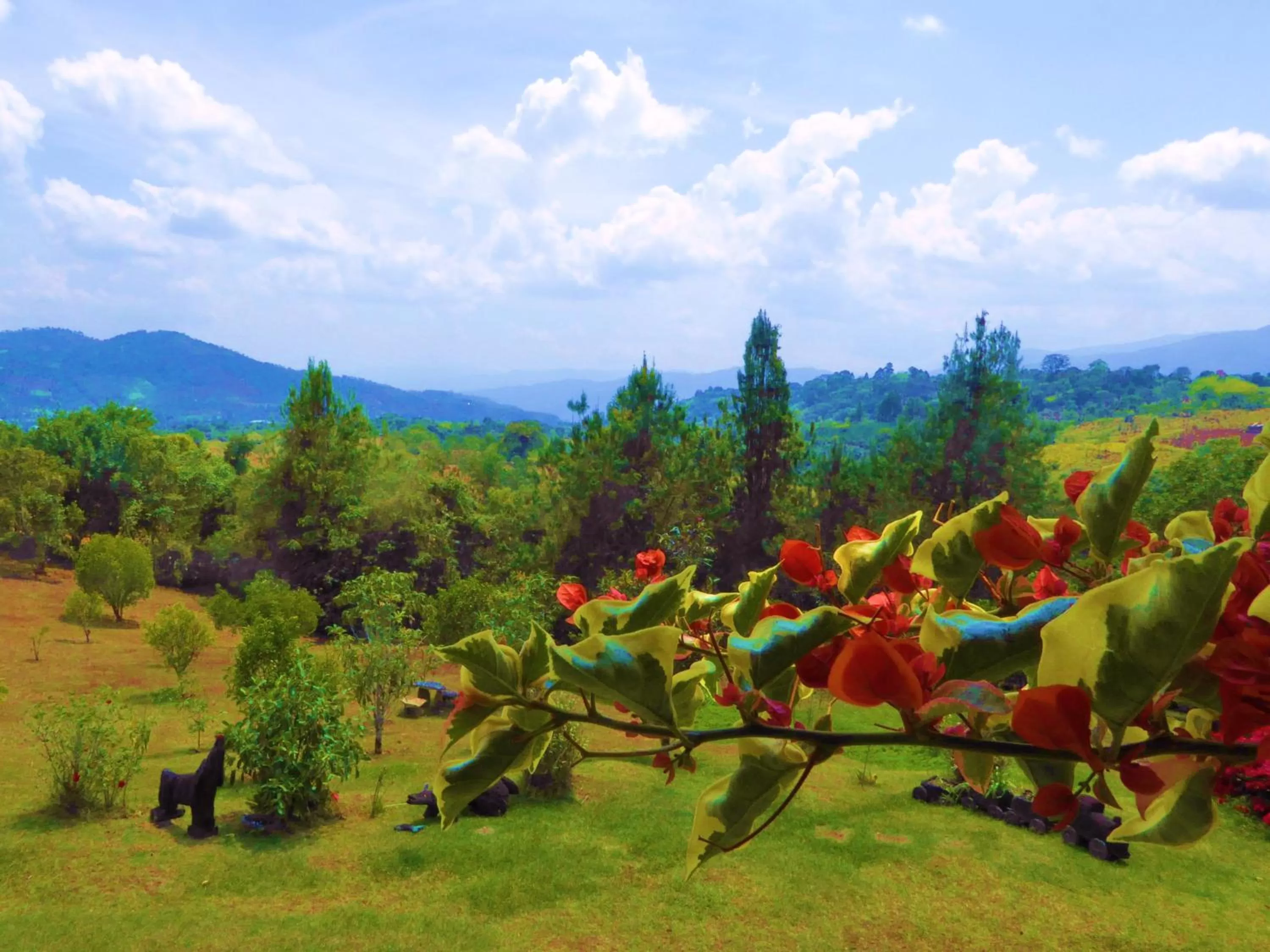 Natural landscape in Finca El Cielo
