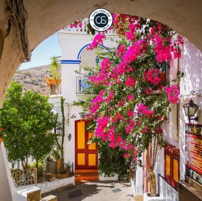 HOTEL BOUTIQUE CABO SUR