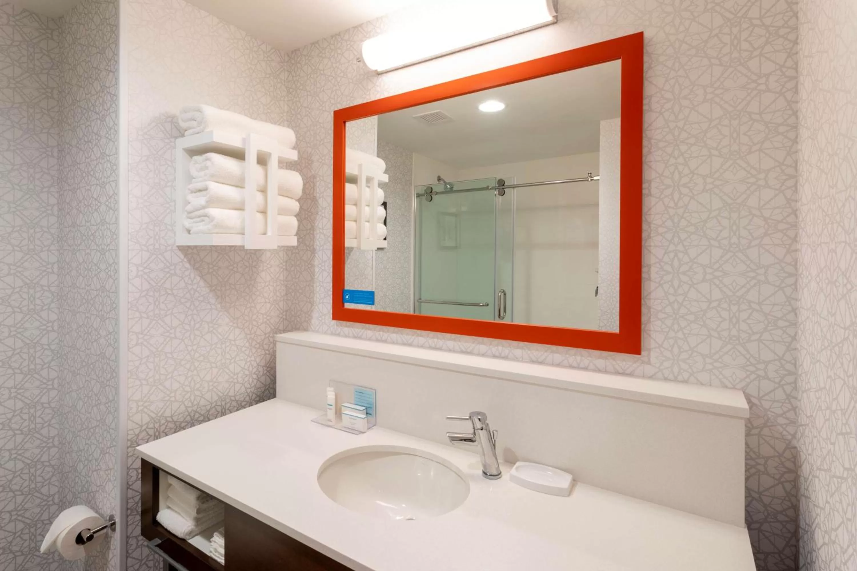 Bathroom in Hampton Inn Eden Prairie Minneapolis