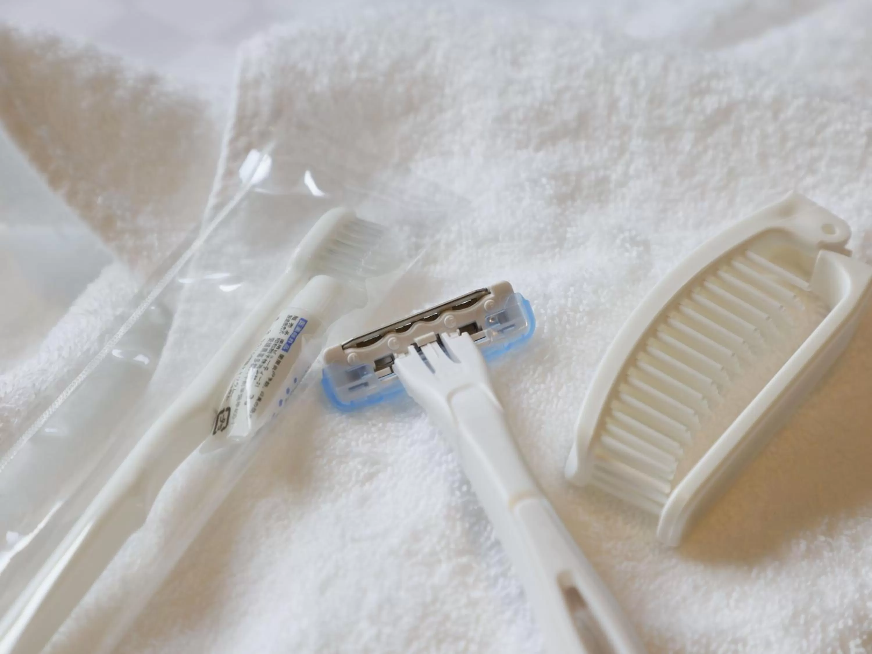 Activities in Plum Hotel