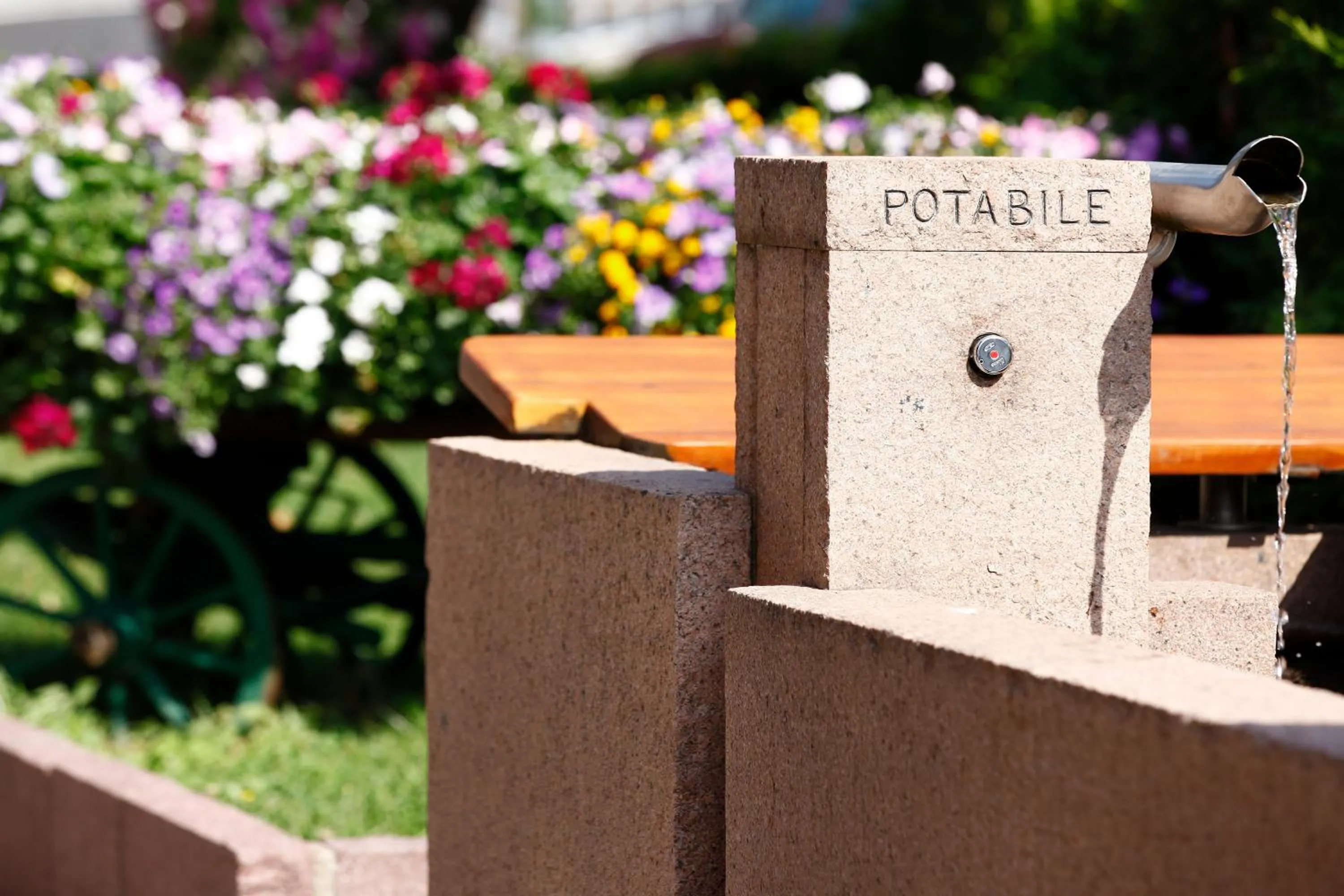 Garden in Hotel Nele