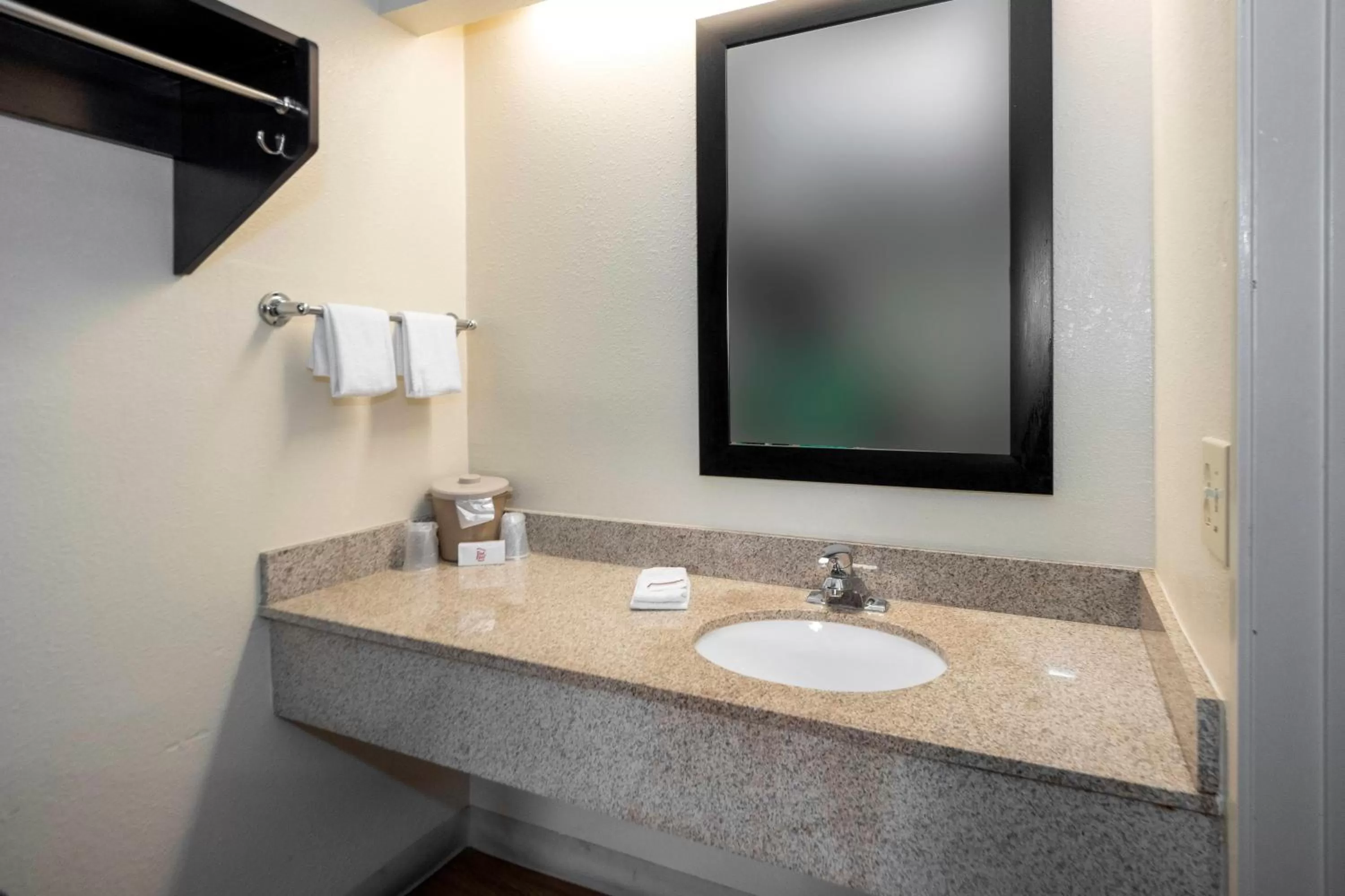 Bathroom in Red Roof Inn Chicago - Lansing