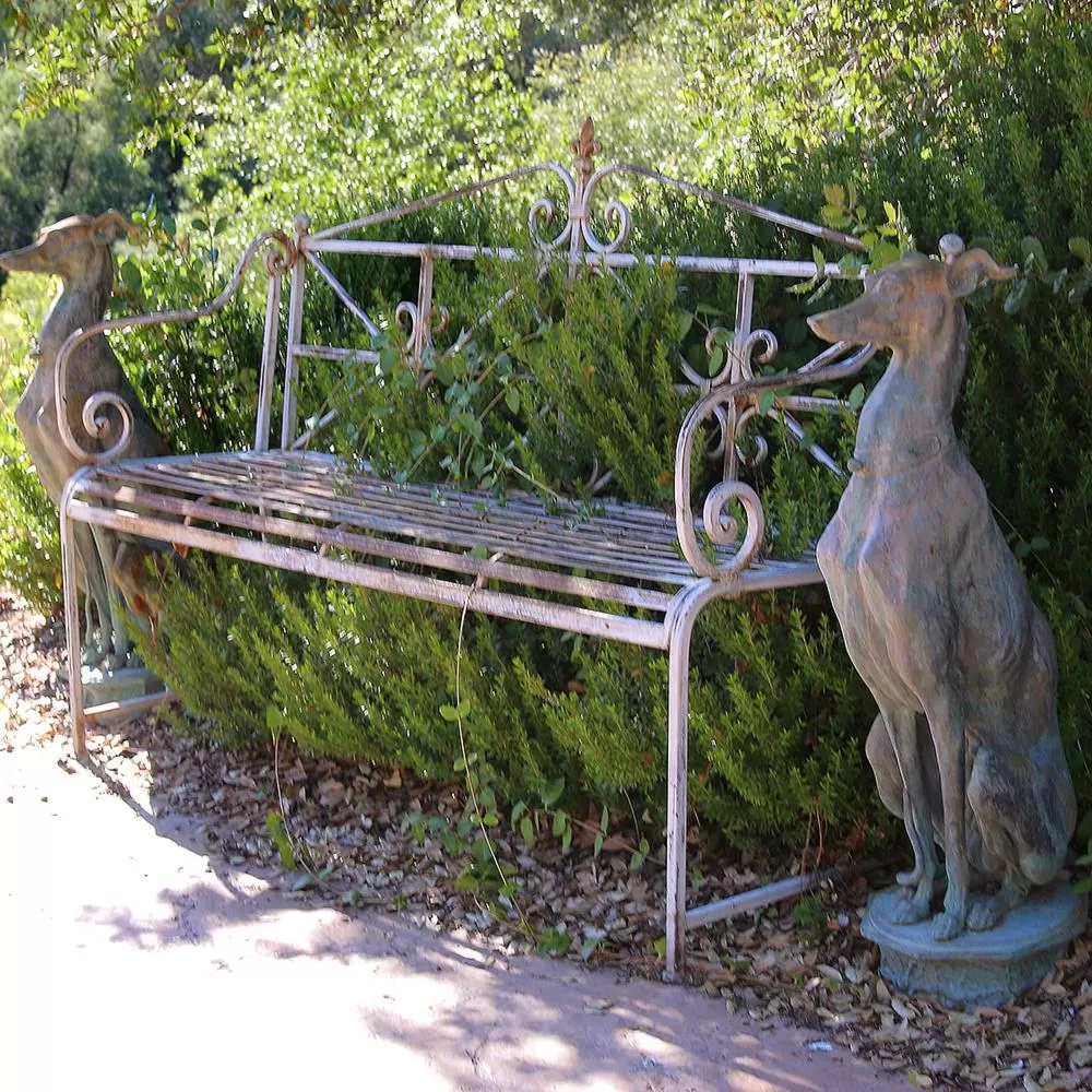 Garden in Bella Vista Bed and Breakfast