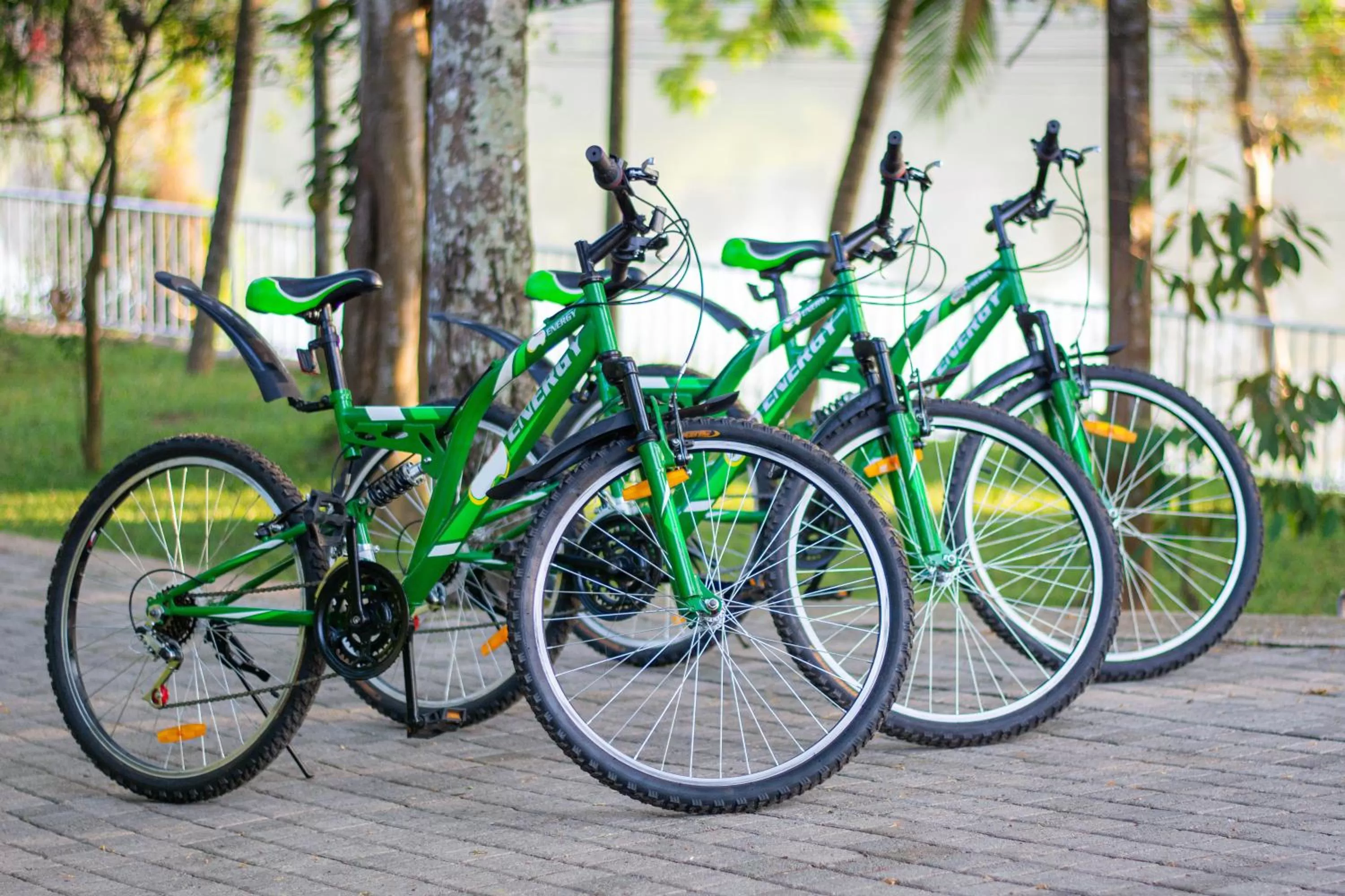 Activities, Biking in Waters Spring