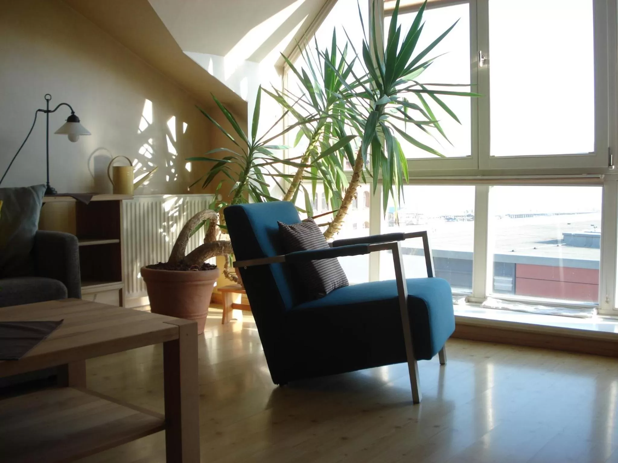 Photo of the whole room in Pension Zur Fährbrücke