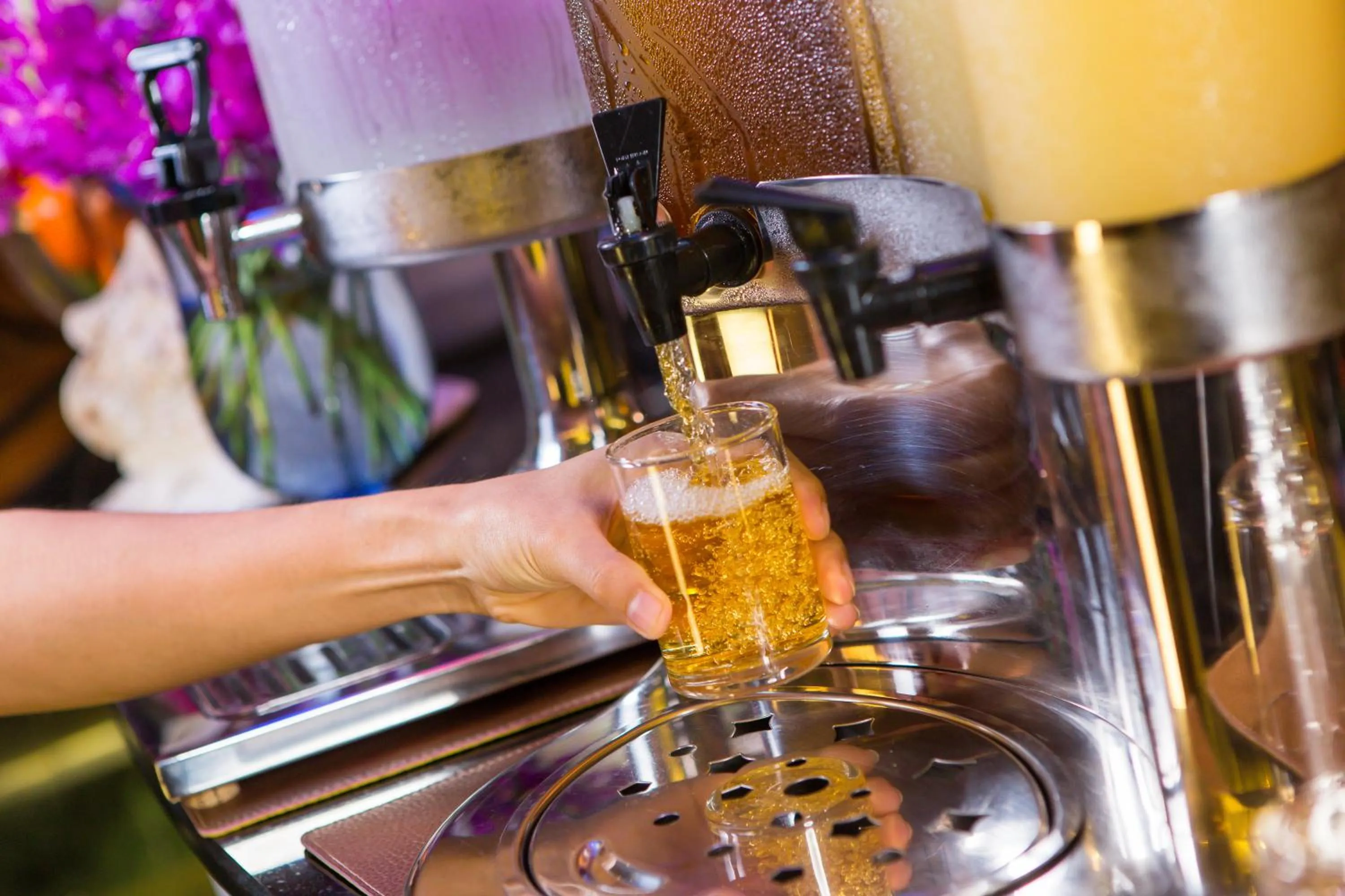 Drinks in Amaranta Hotel