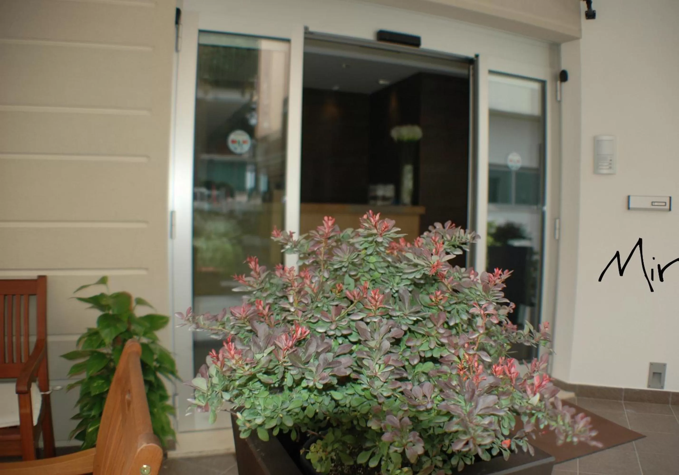 Facade/entrance in Hotel Miramare