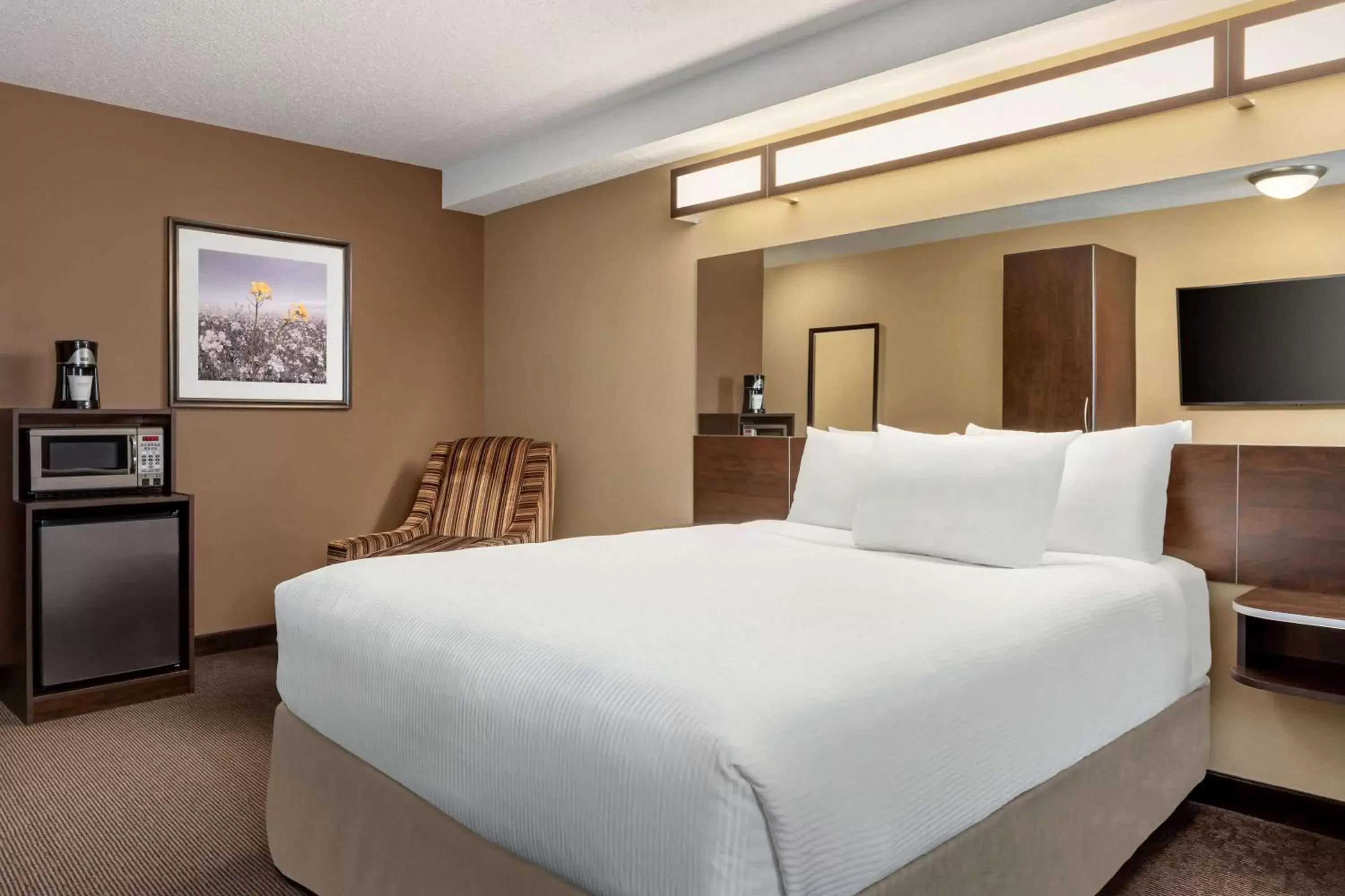 Queen Room with Roll-In Shower - Mobility Accessible/Non-Smoking in Microtel Inn & Suites by Wyndham Estevan Queen Room with Roll-In Shower - Mobility Accessible/Non-Smoking in Microtel Inn & Suites by Wyndham Estevan