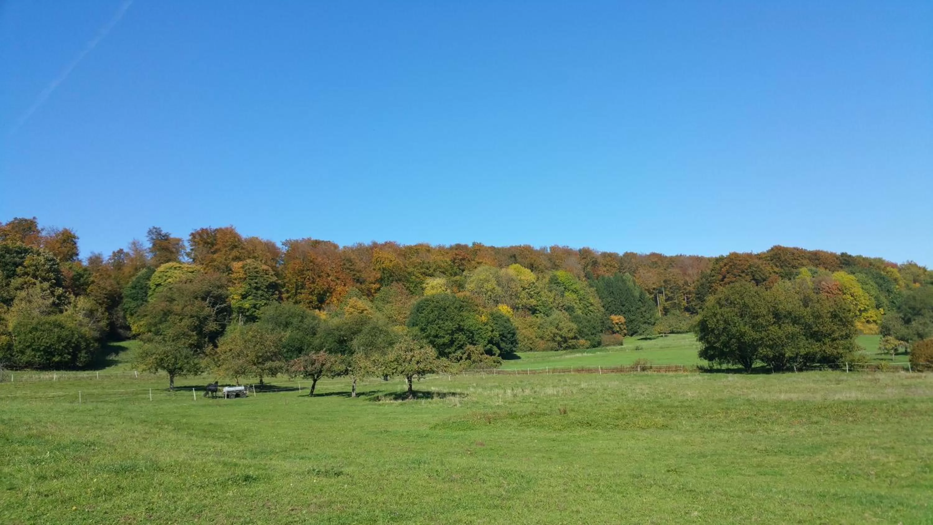 Off site in Villa Jani b&b