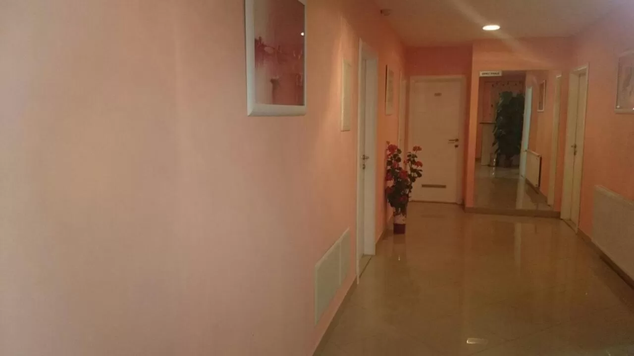 Decorative detail in Lugarnica