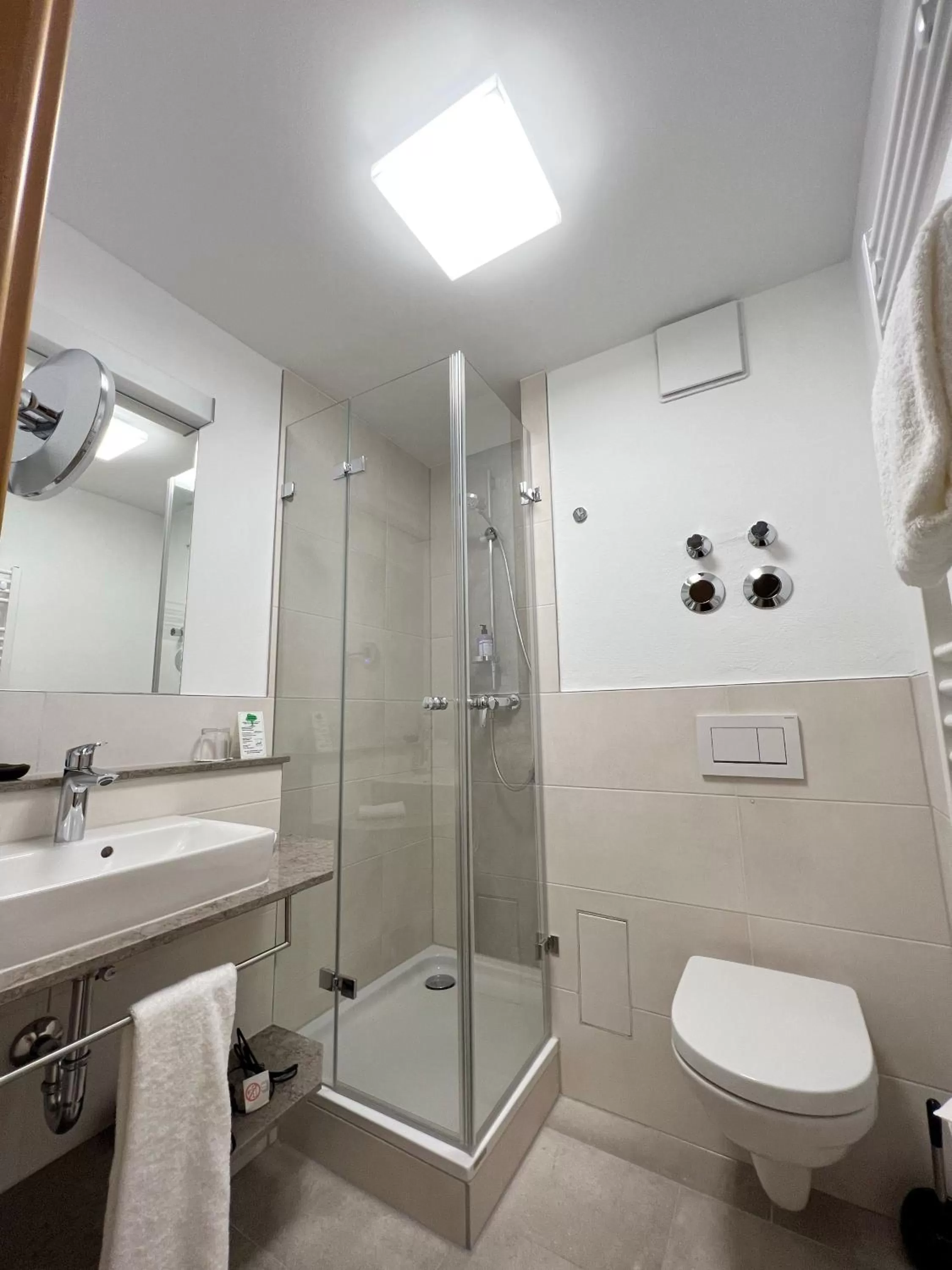 Shower in Hotel Prinz