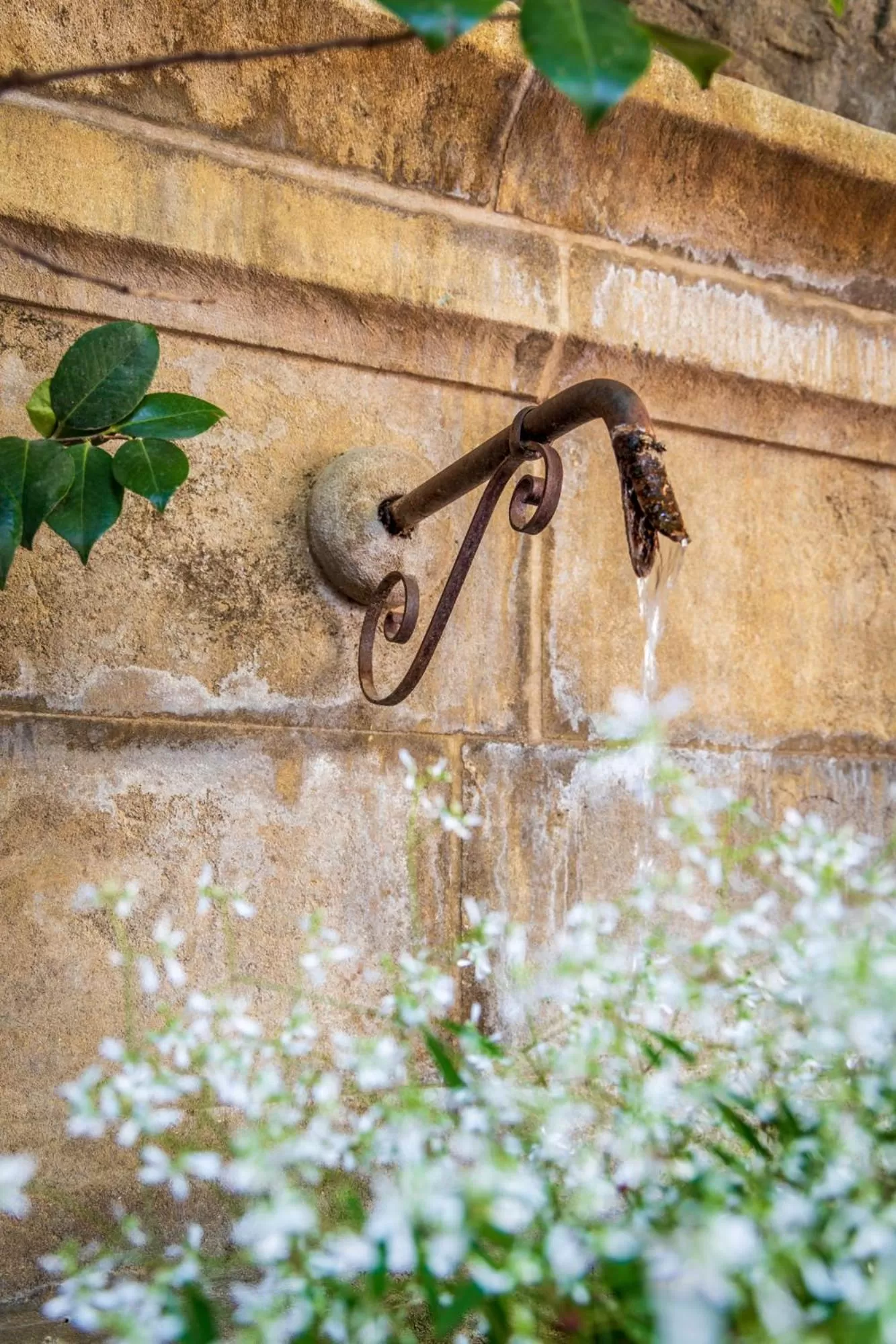 Garden in Le Clos Violette et Le 11 D'Aglaé - Hôtel de Charme Design de Luxe