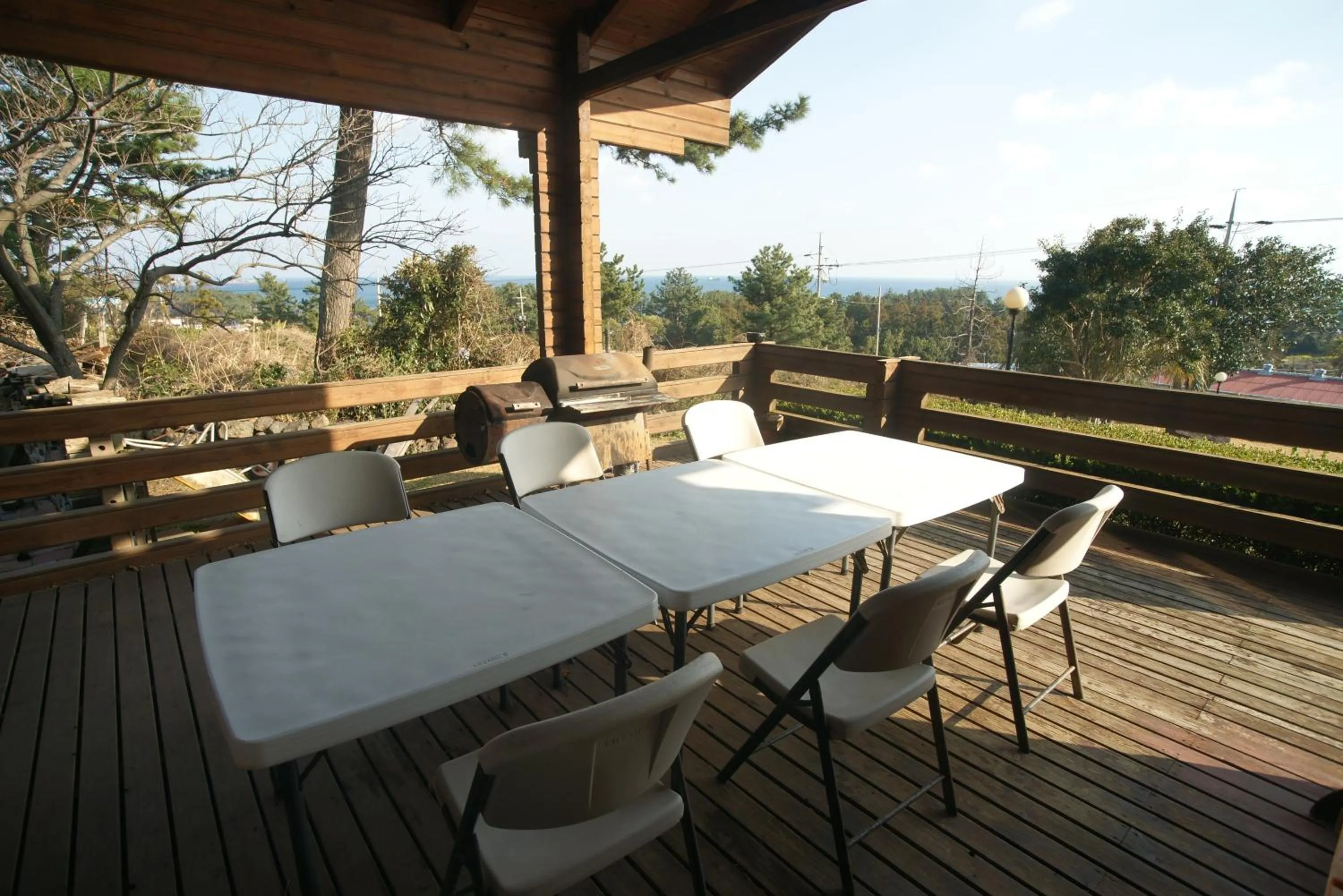 Day in Sunny Day Jeju