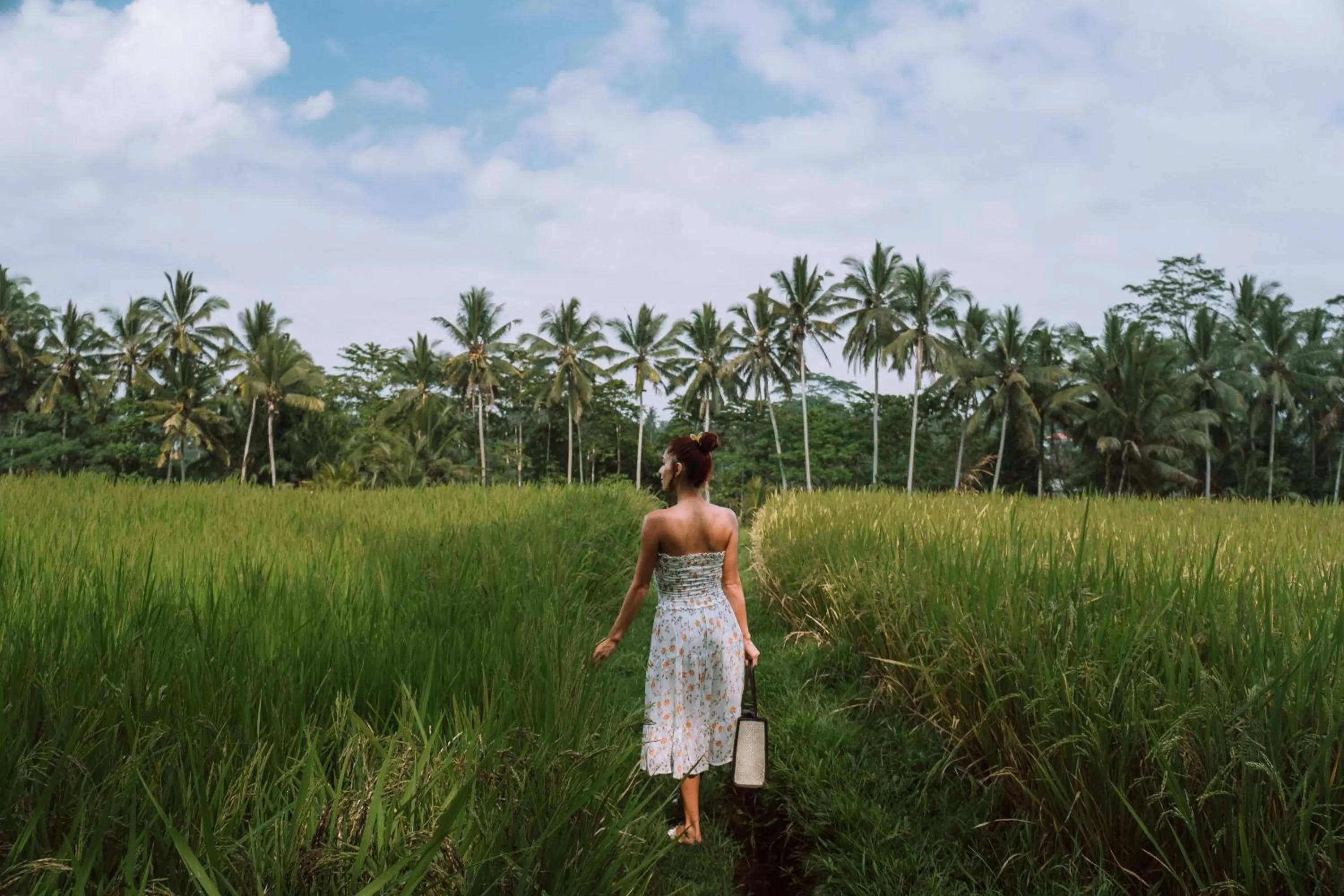 Activities in The Kayon Resort