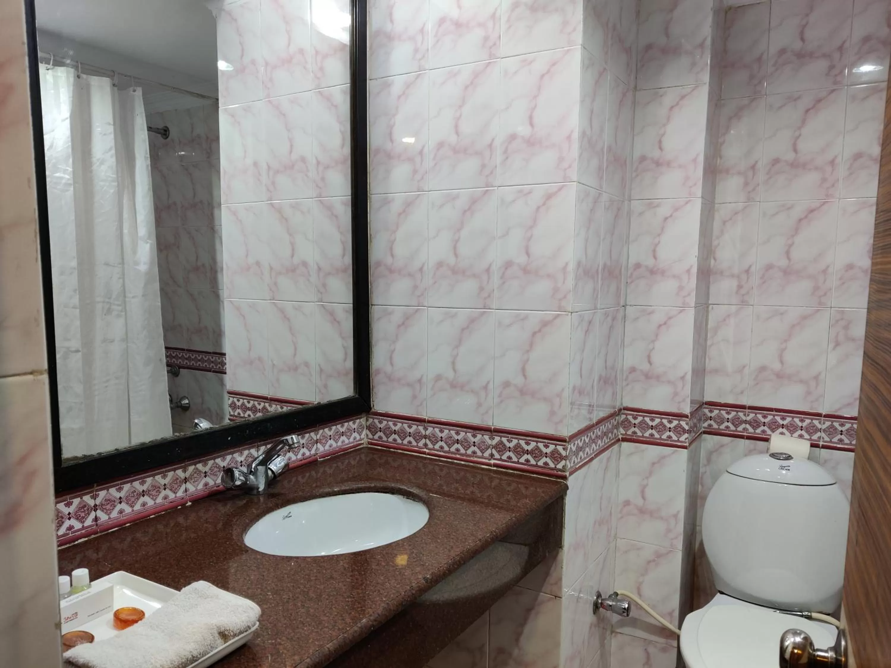 Bathroom in Hotel Shiva Continental