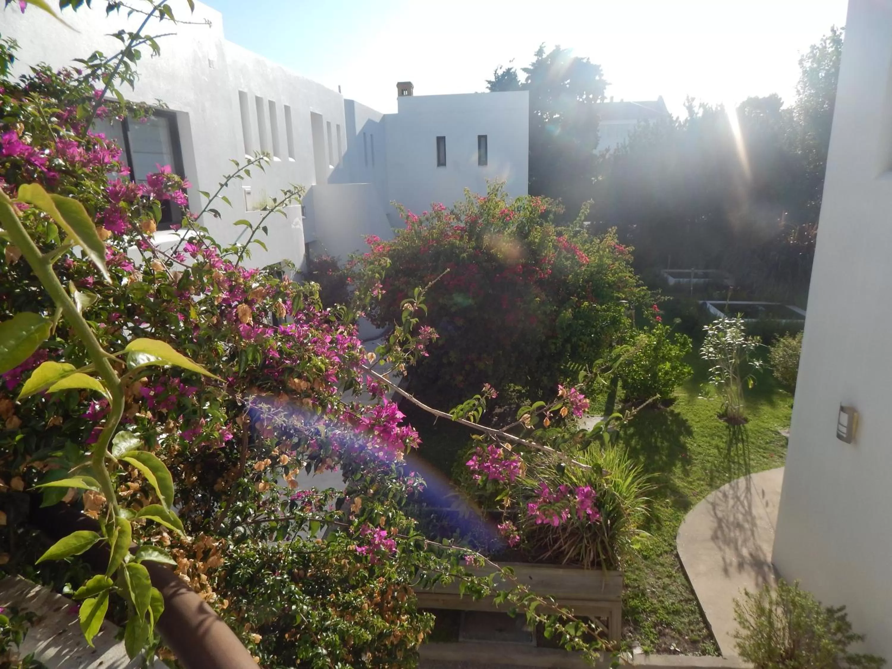 Garden view in Posada de los Pajaros