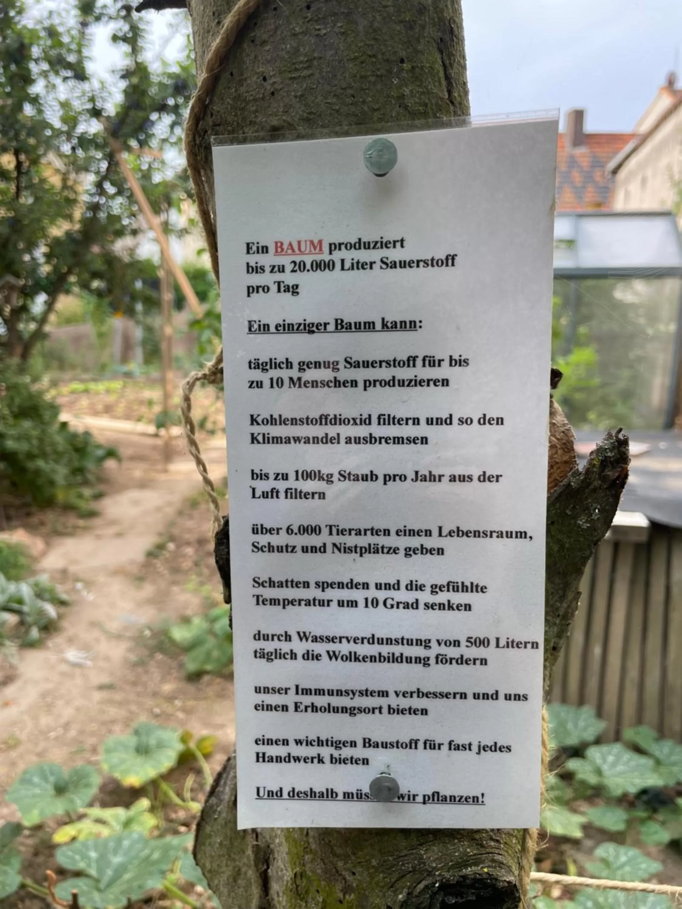 Garden in Jugendstil-Hof