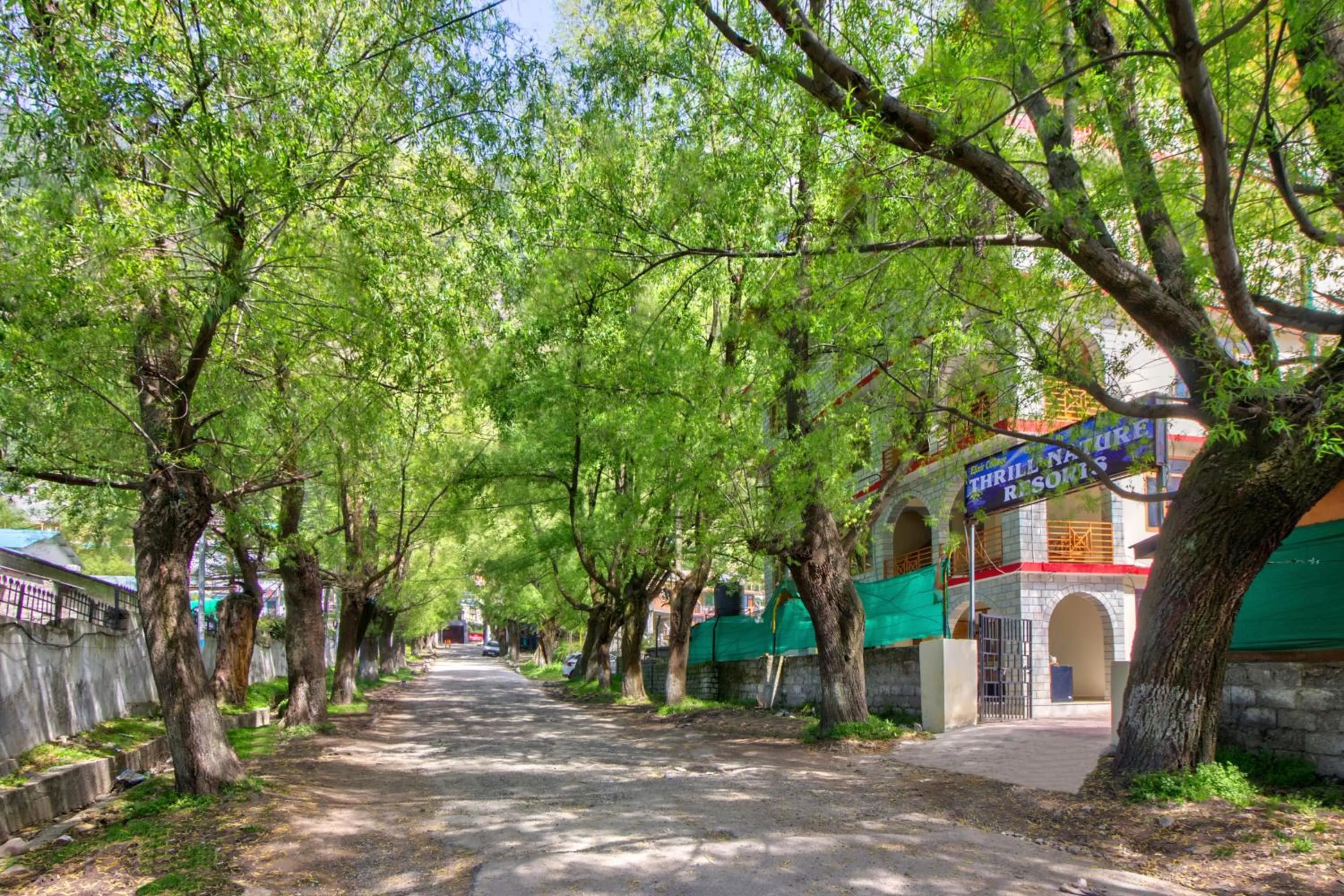 Spring in Thrill Nature Cottage