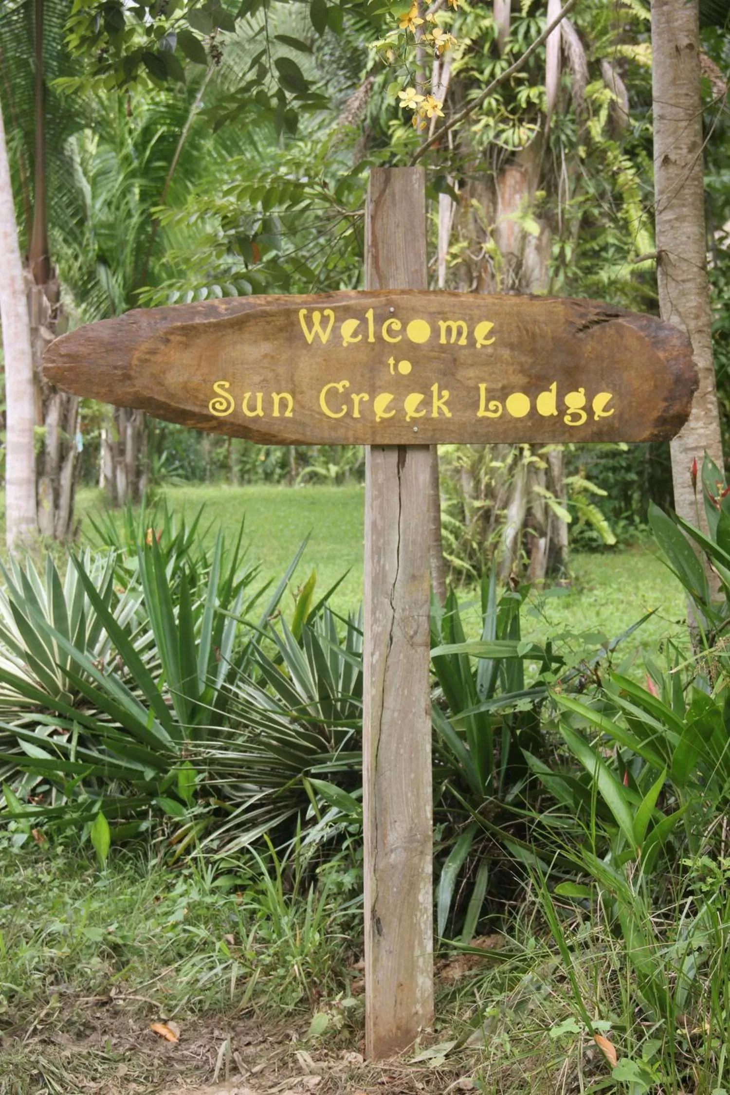 Logo/Certificate/Sign in Sun Creek Lodge