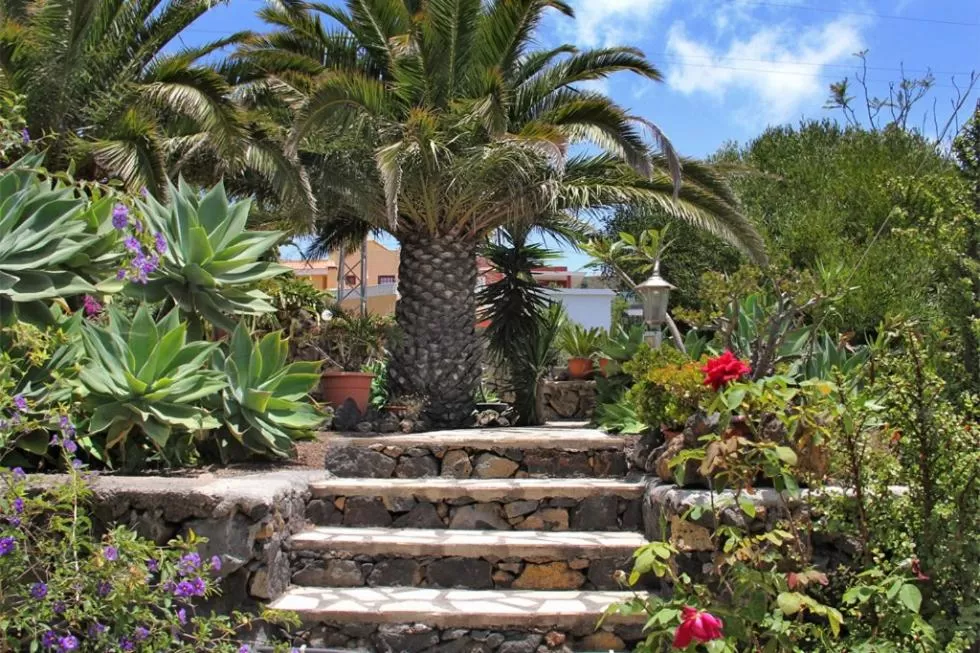 Garden in Jardin de Aridane