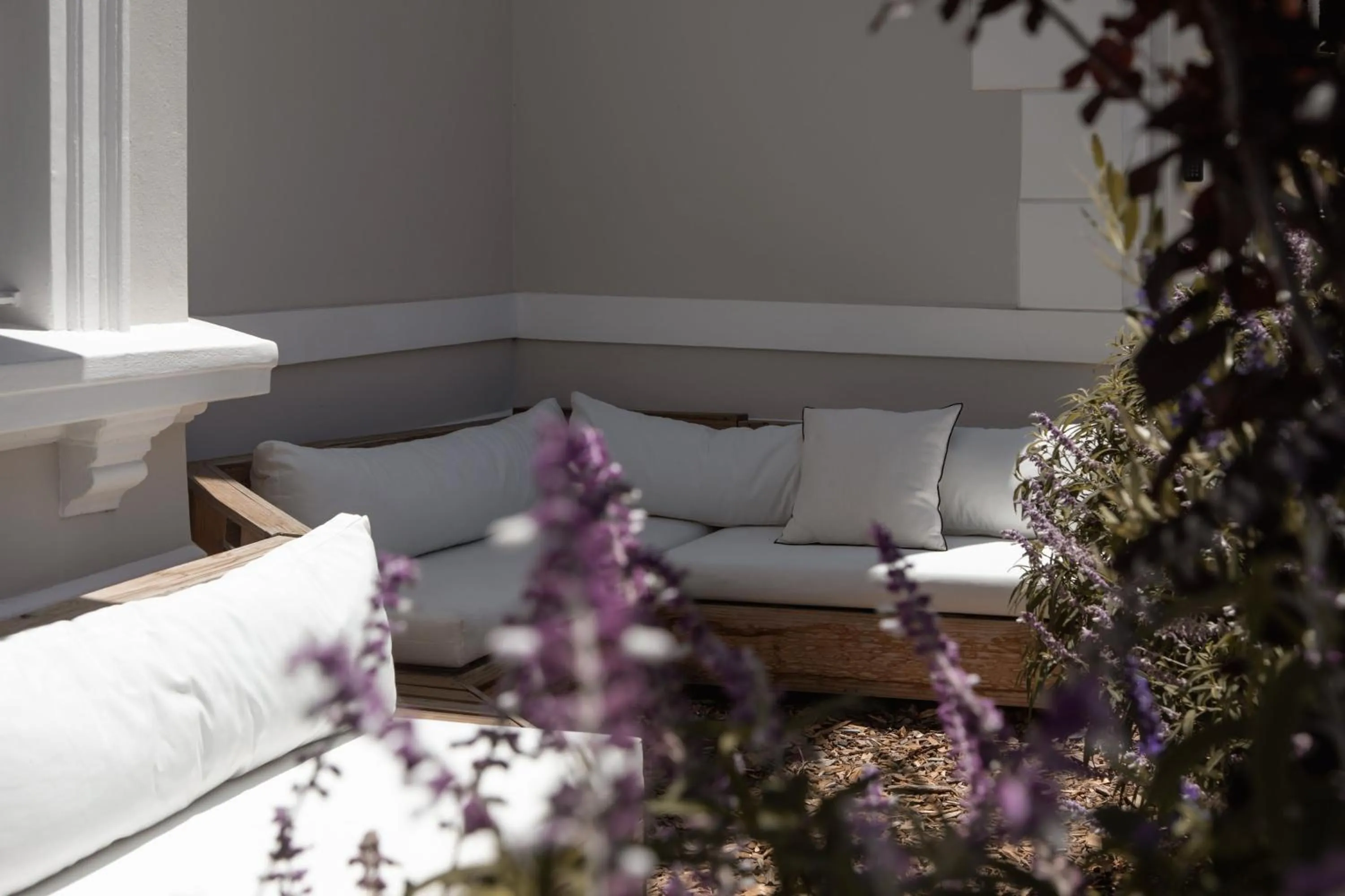 Garden in NOAH House