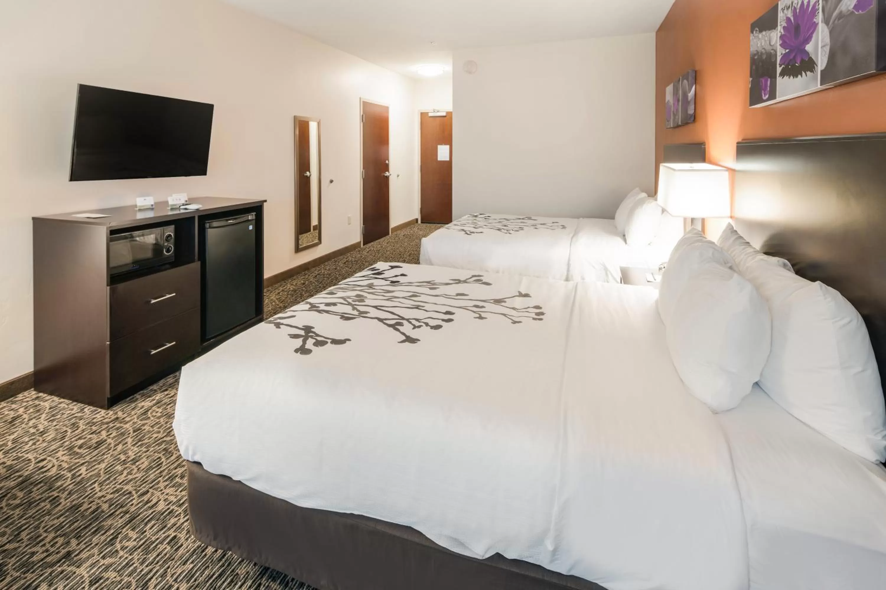 TV and multimedia in Sleep Inn & Suites Hurricane Zion Park Area